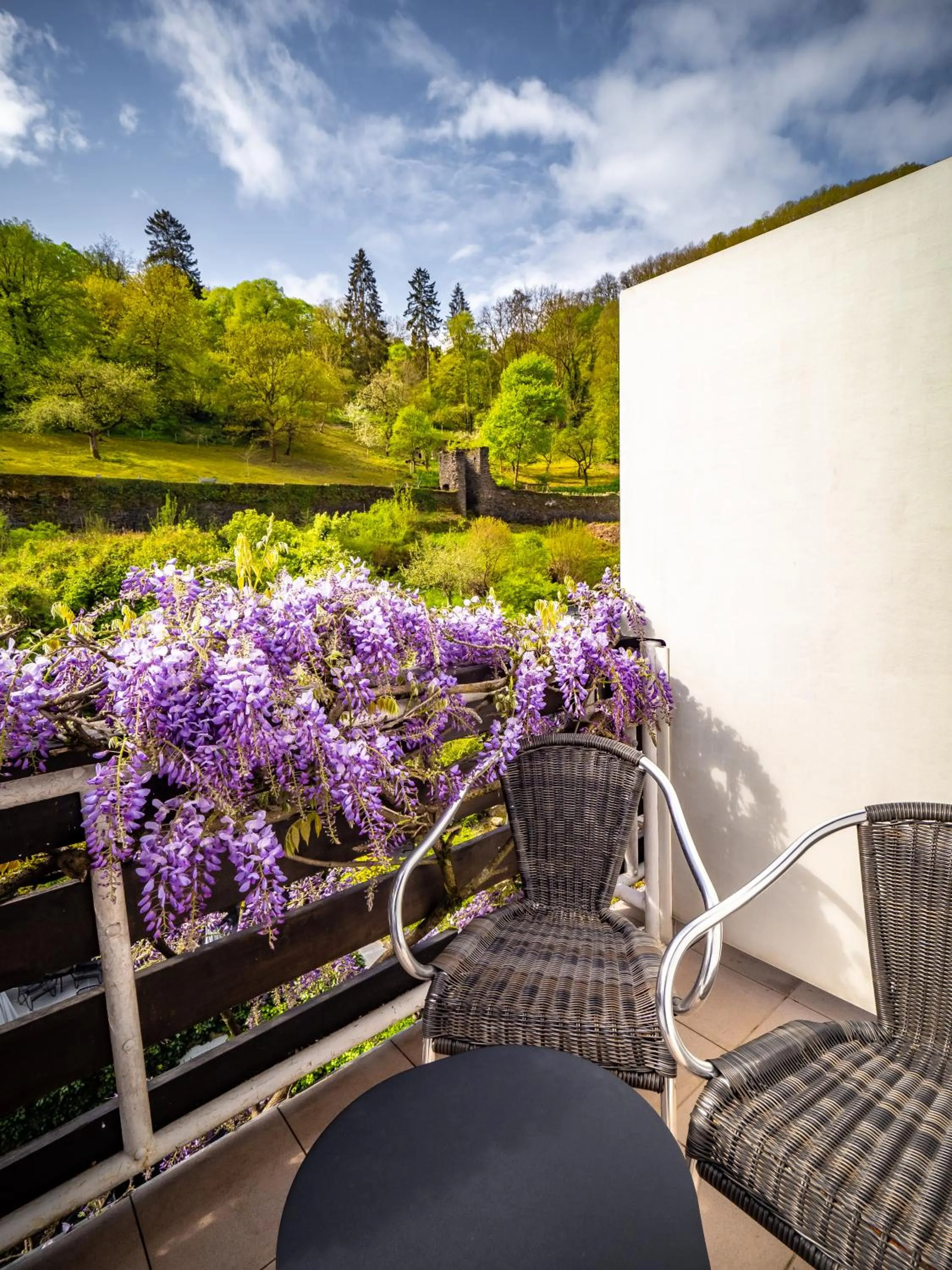 Balcony/Terrace in Hotel Heintz