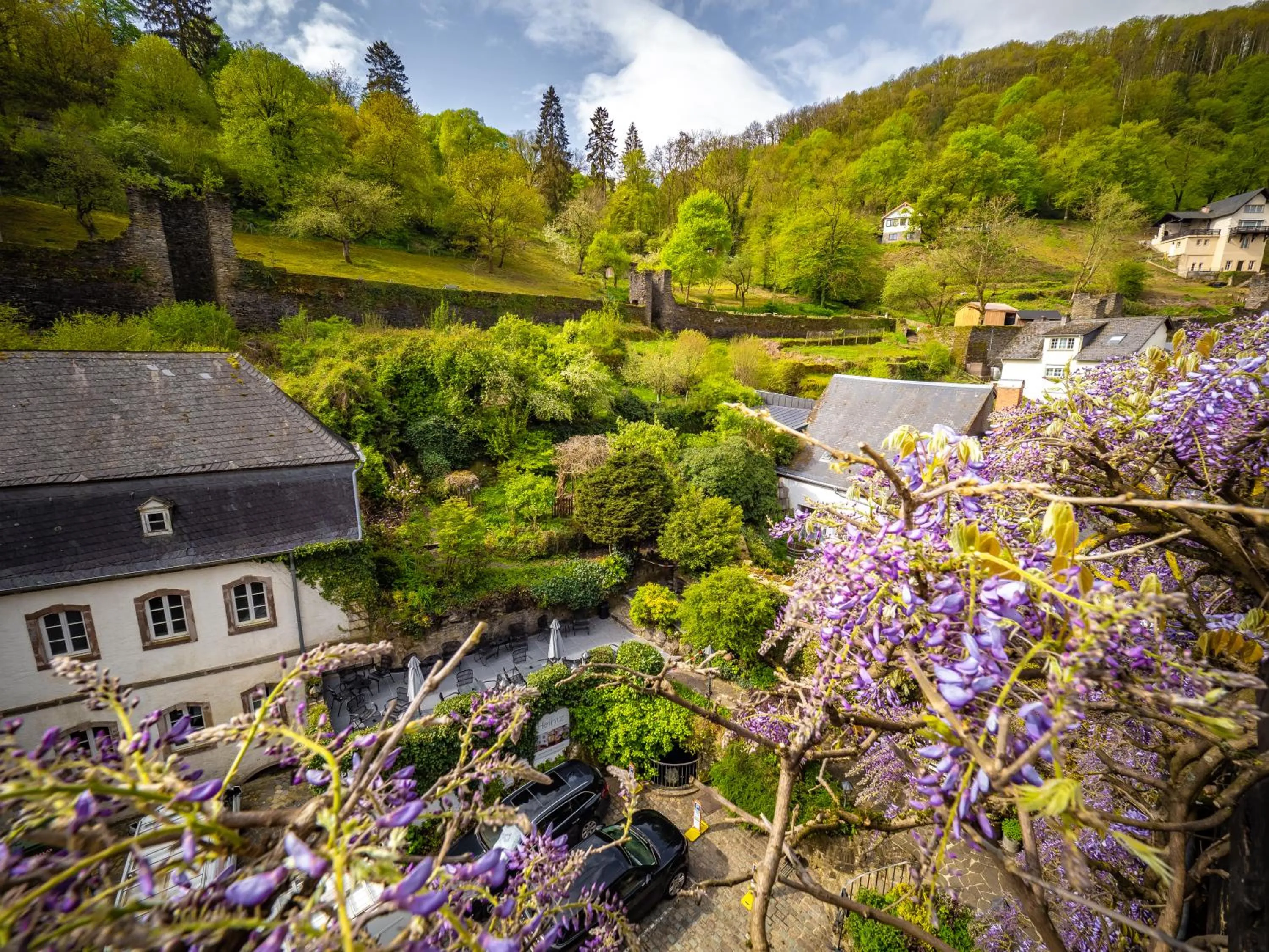 Garden in Hotel Heintz