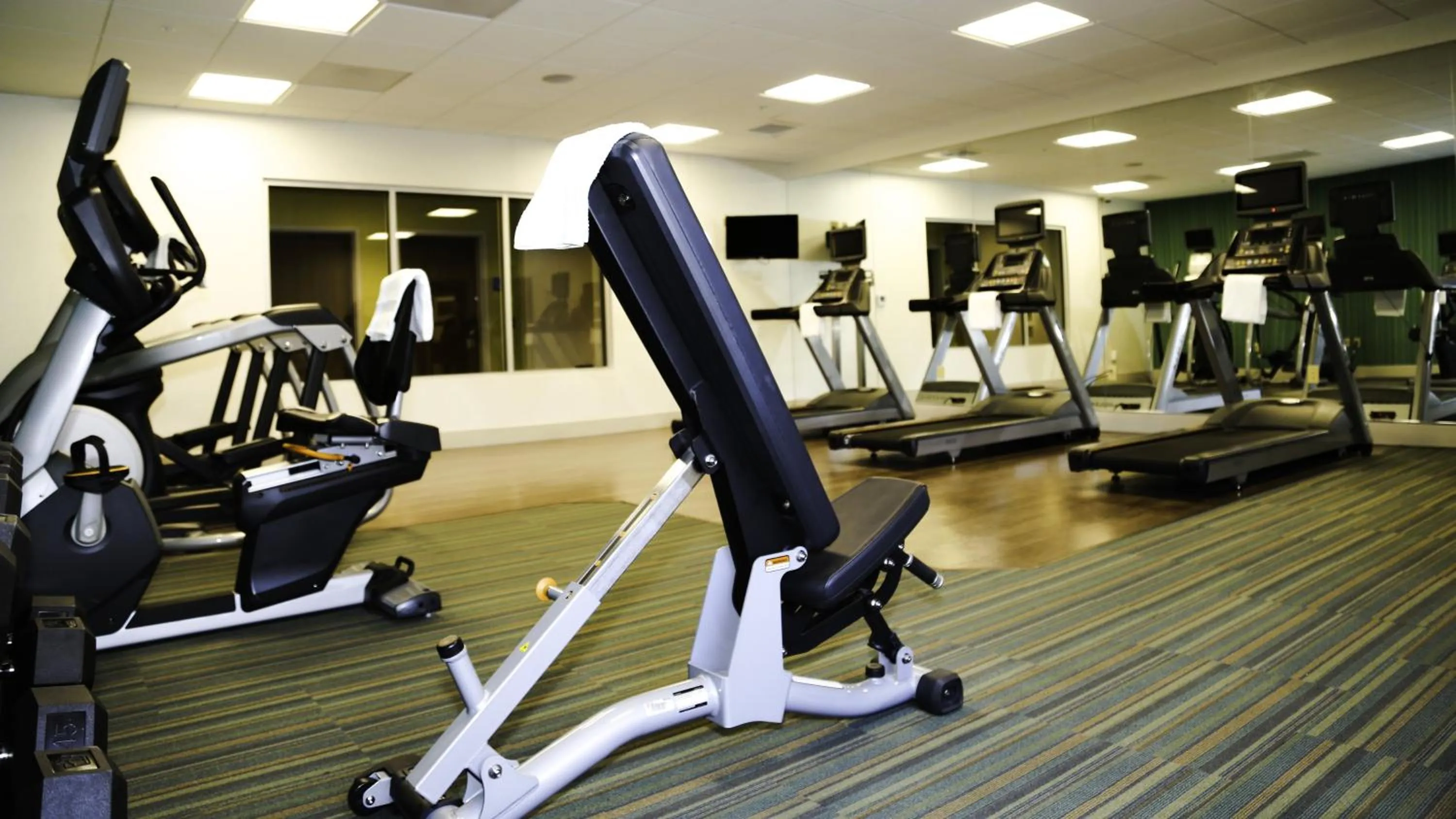 Fitness centre/facilities in Holiday Inn Express & Suites Kingston-Ulster by IHG