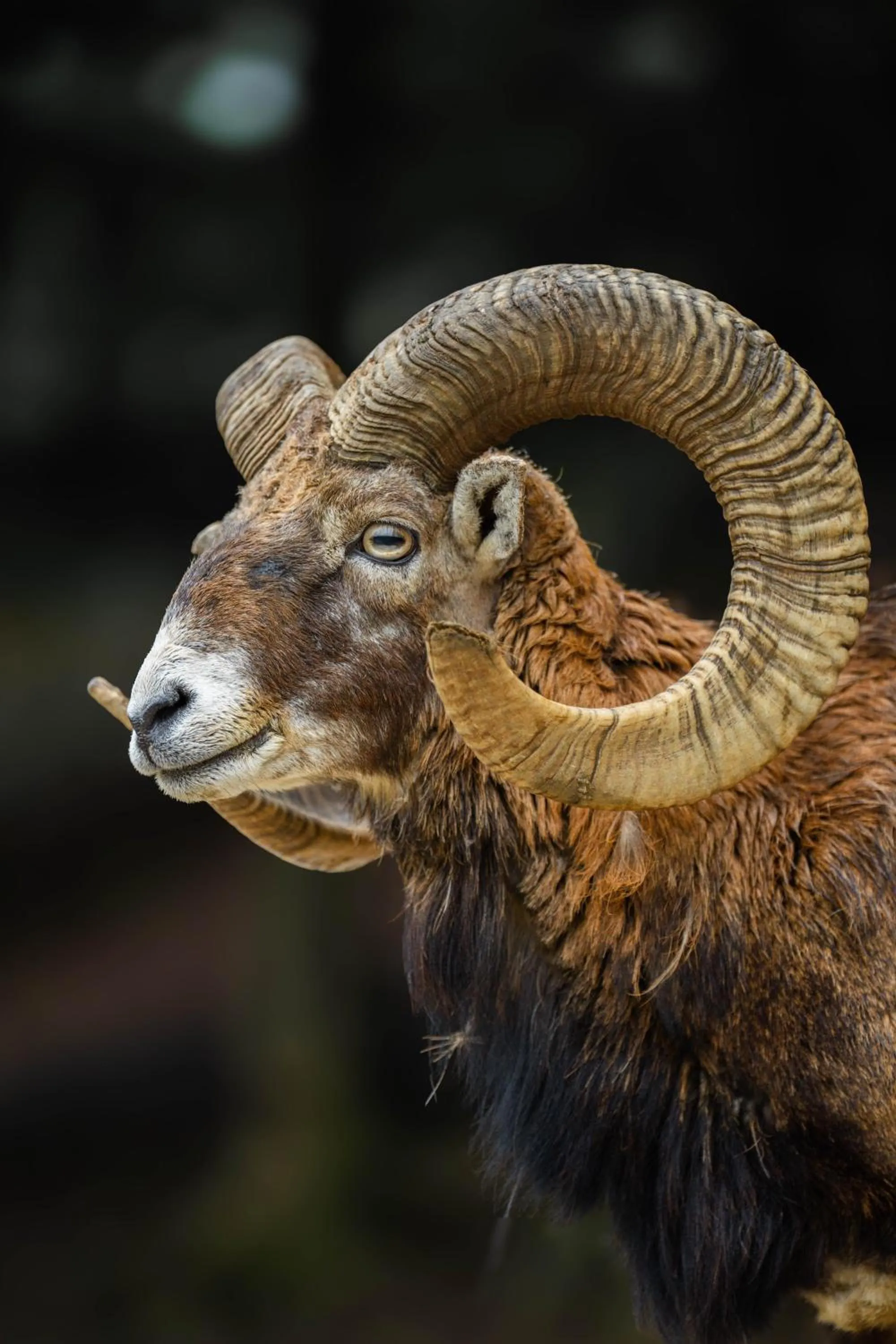 Guest House Pod Grebenom