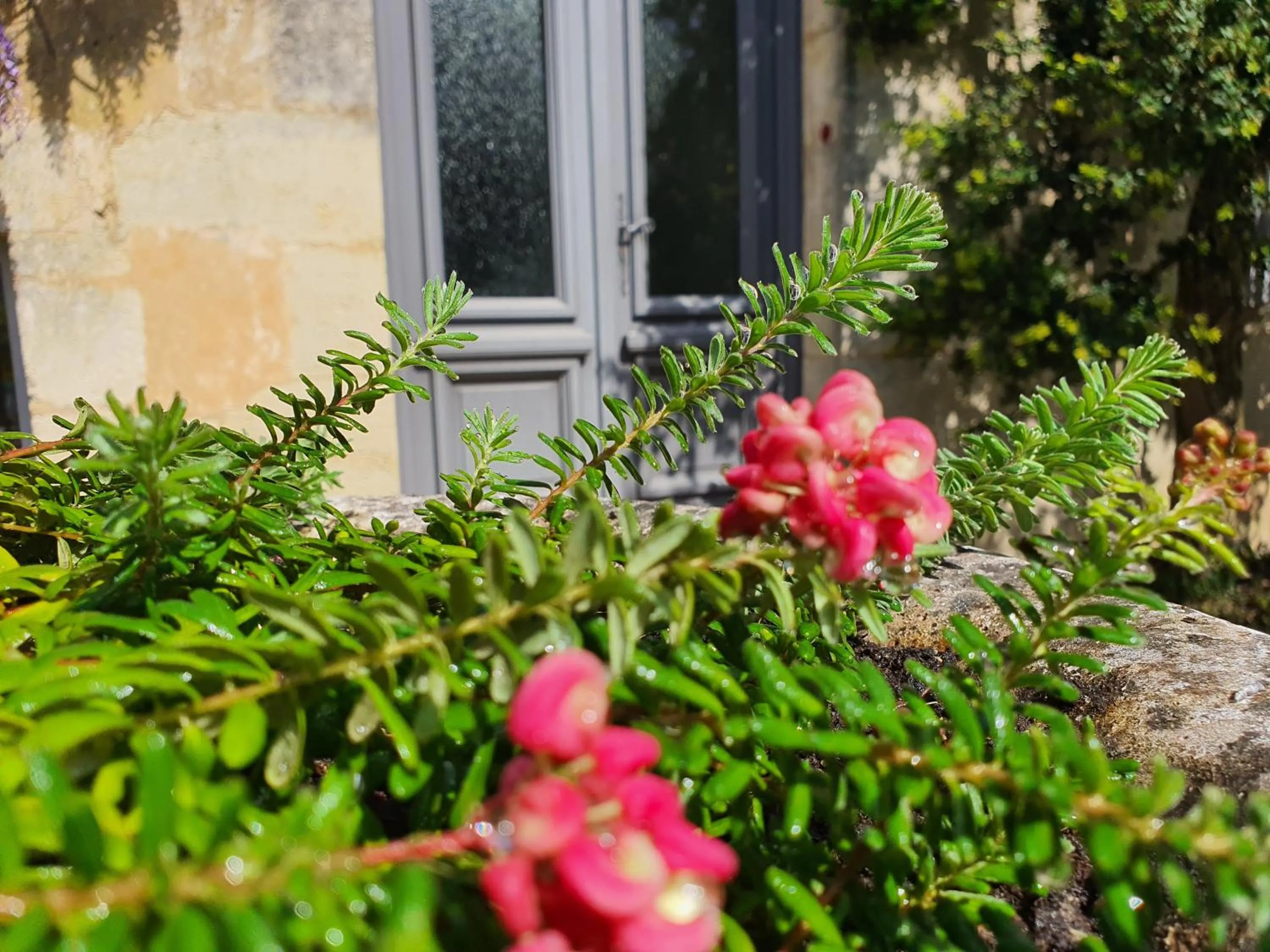 Property building in Le Clos Réaud