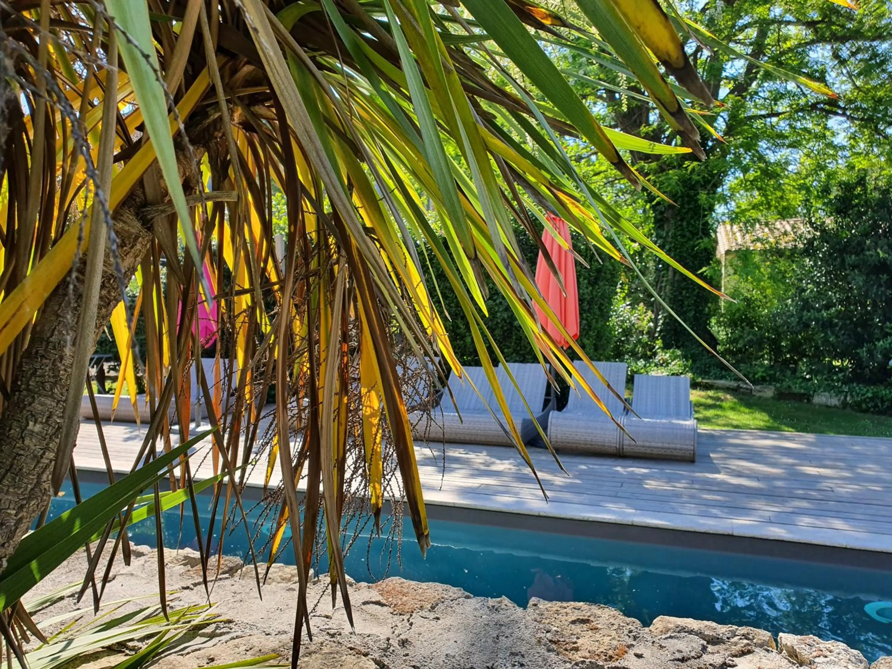 Swimming pool in Le Clos Réaud