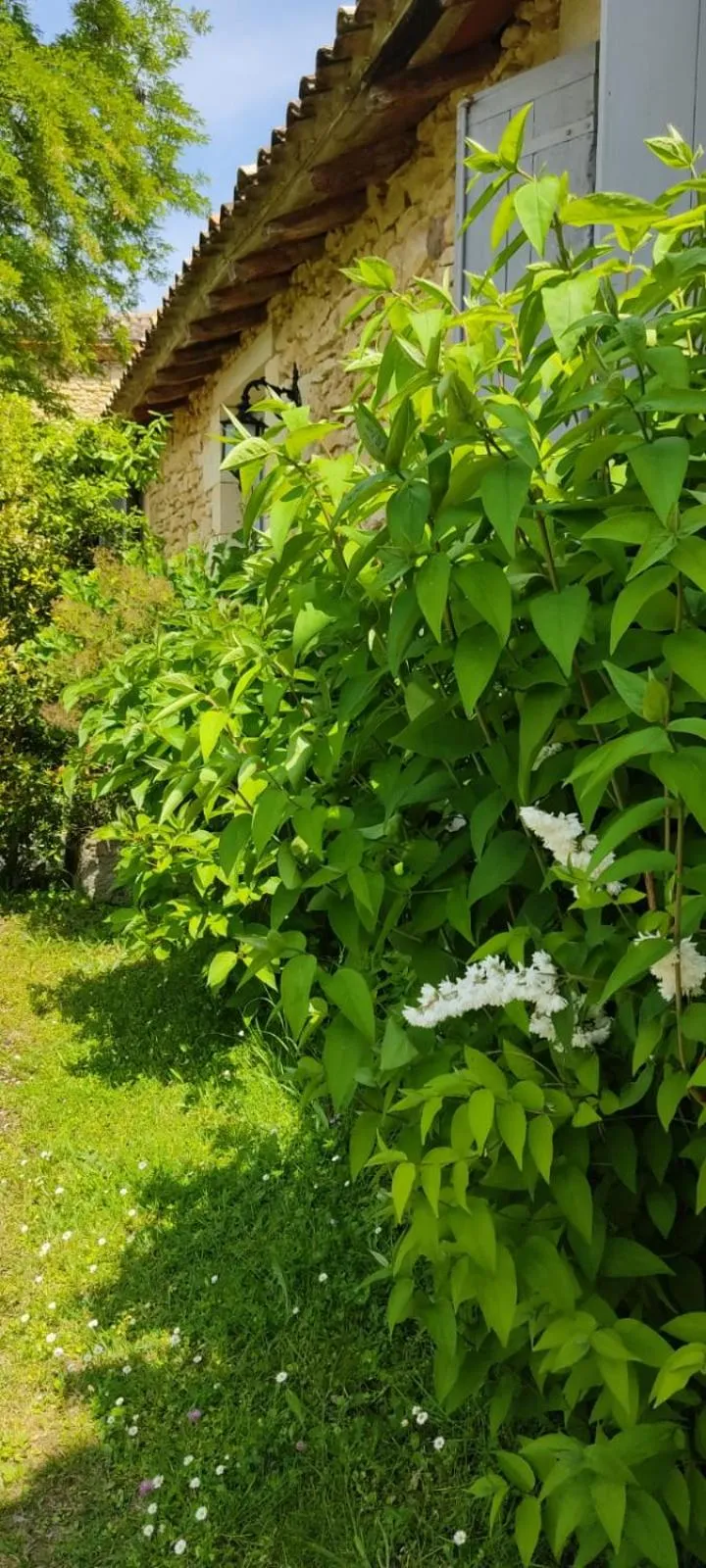 Le Clos Réaud