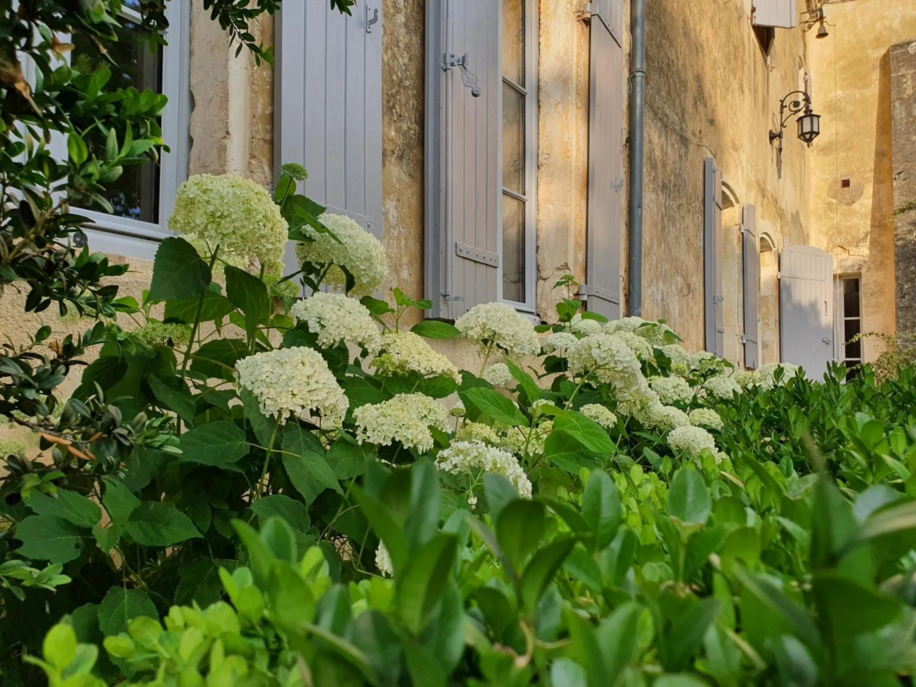 Garden view in Le Clos Réaud