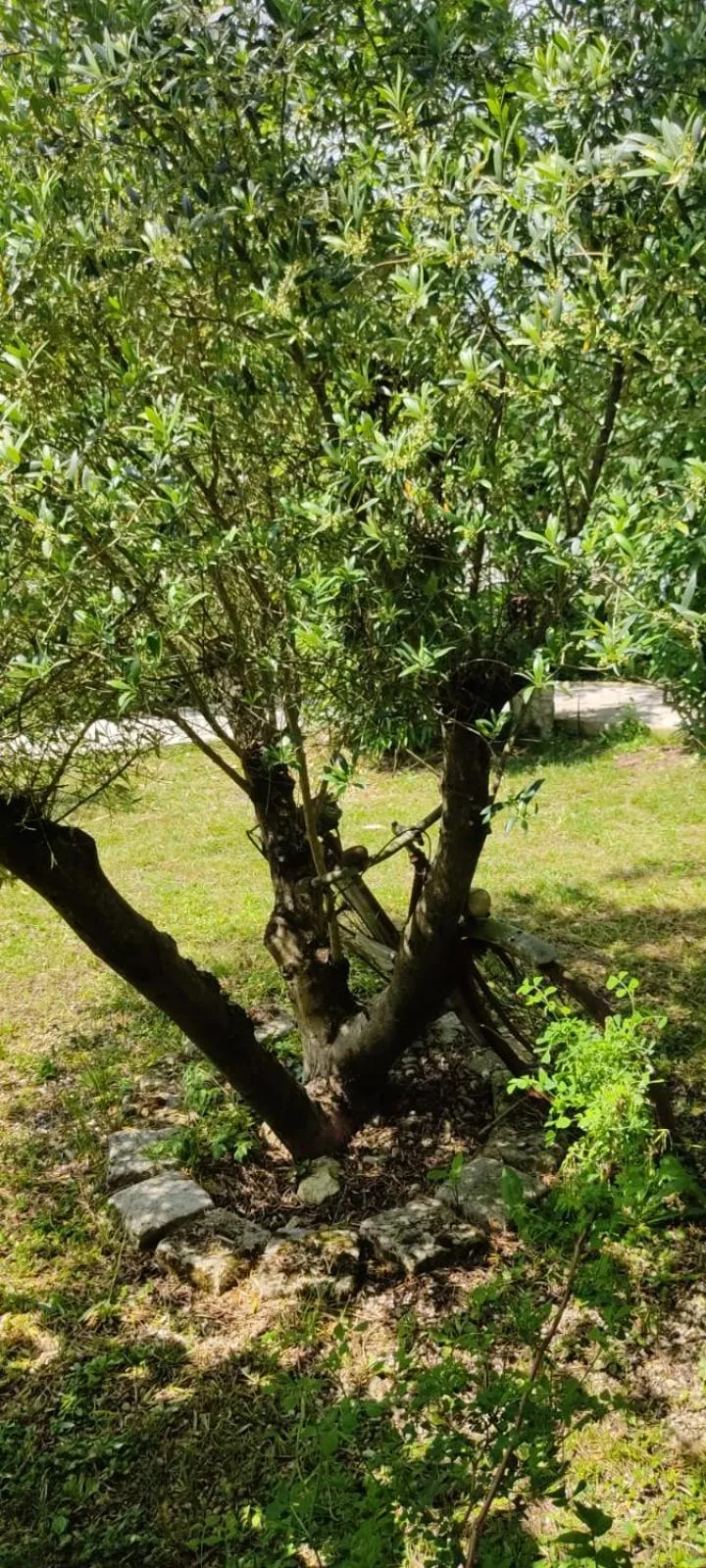 Le Clos Réaud