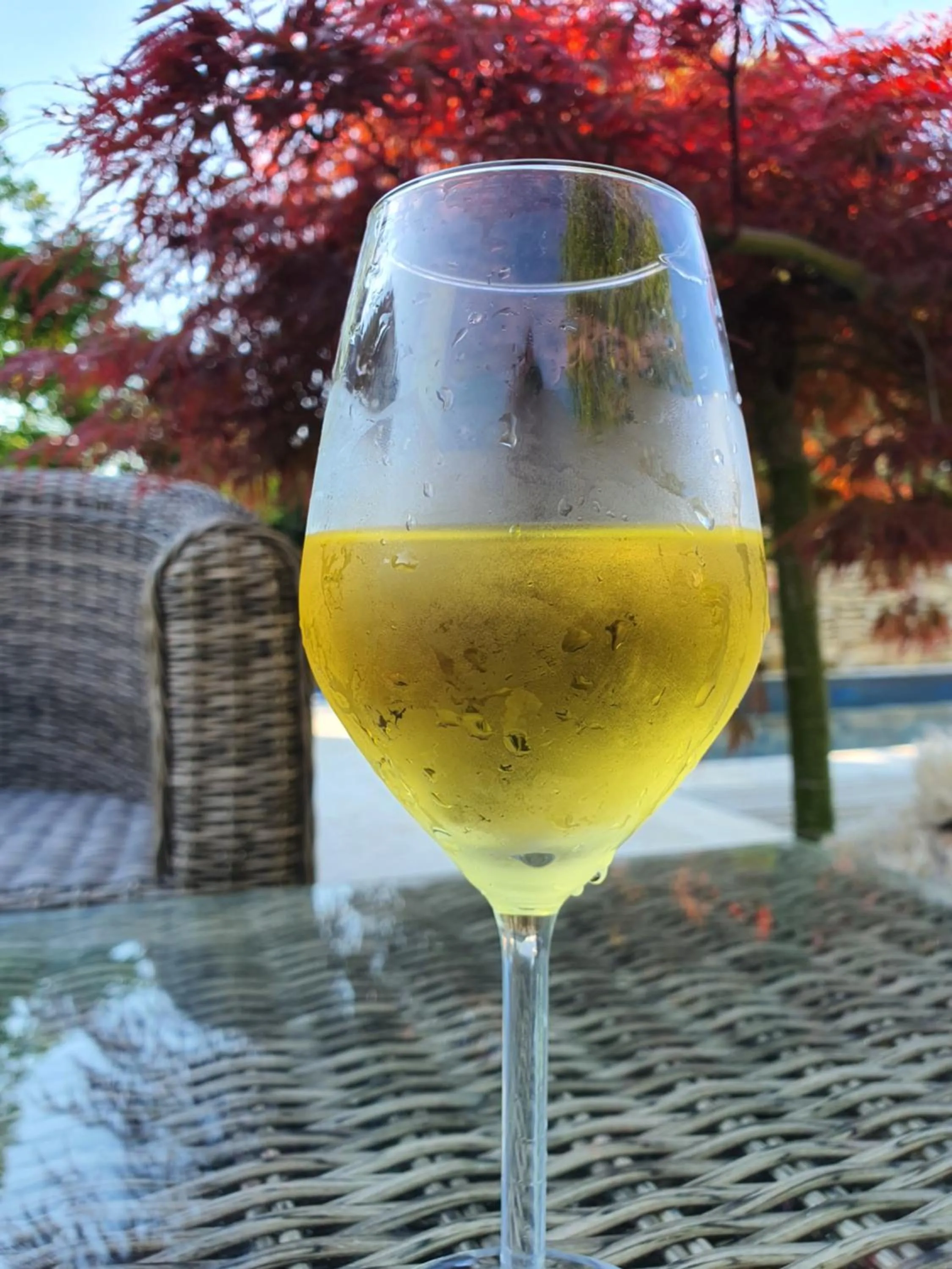 Alcoholic drinks in Le Clos Réaud