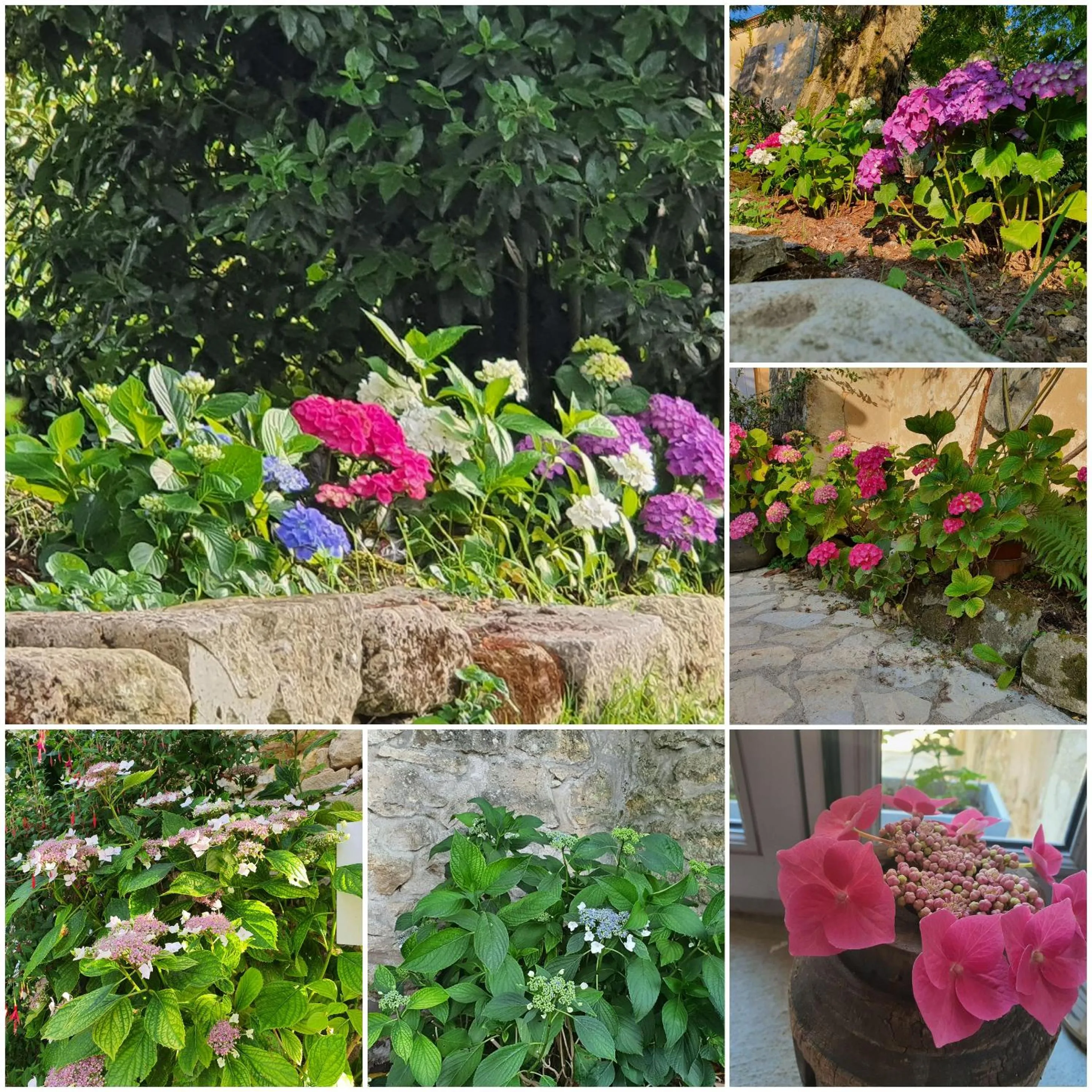 Garden view in Le Clos Réaud