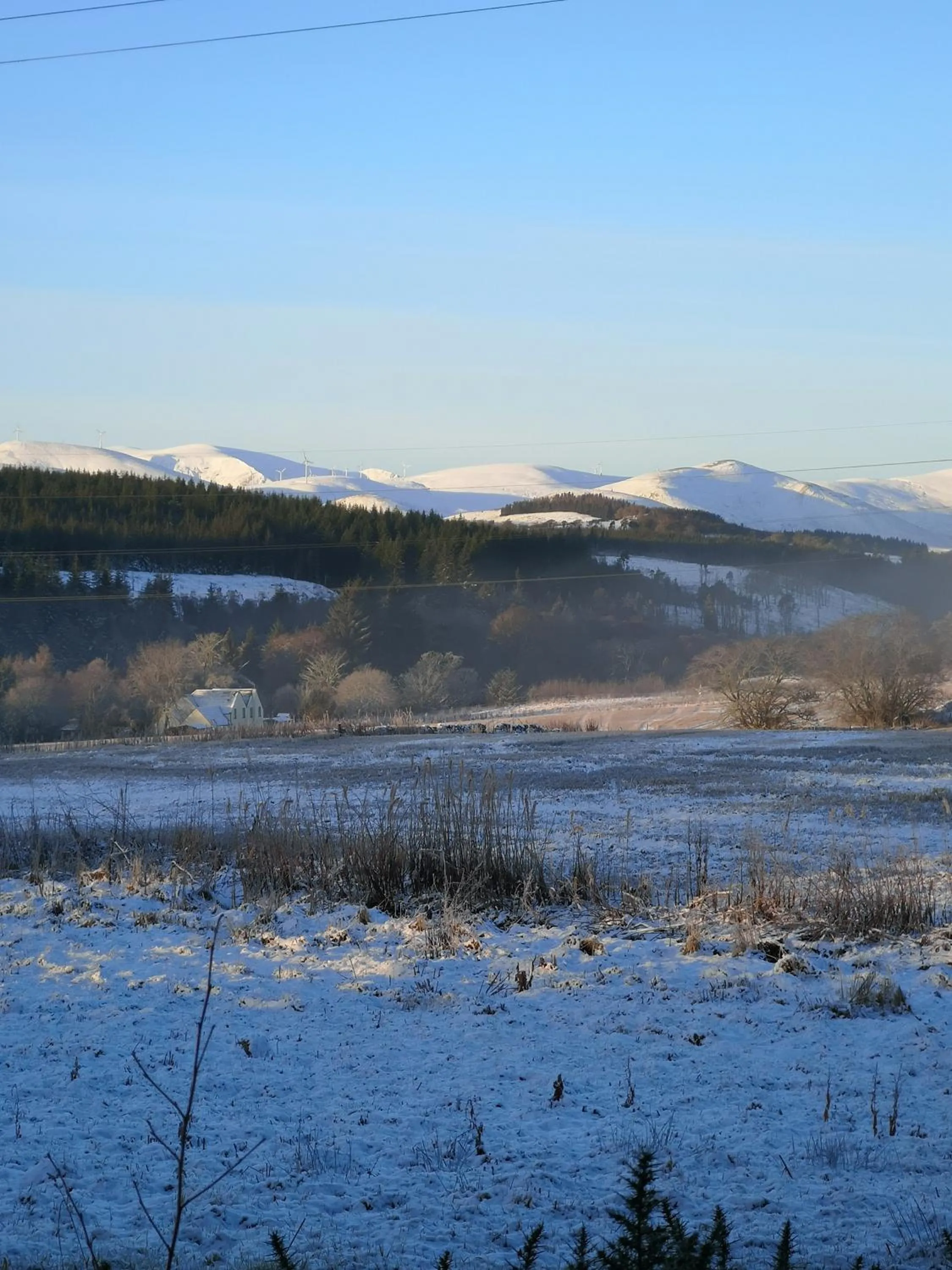 Day in Beechwood Lodge