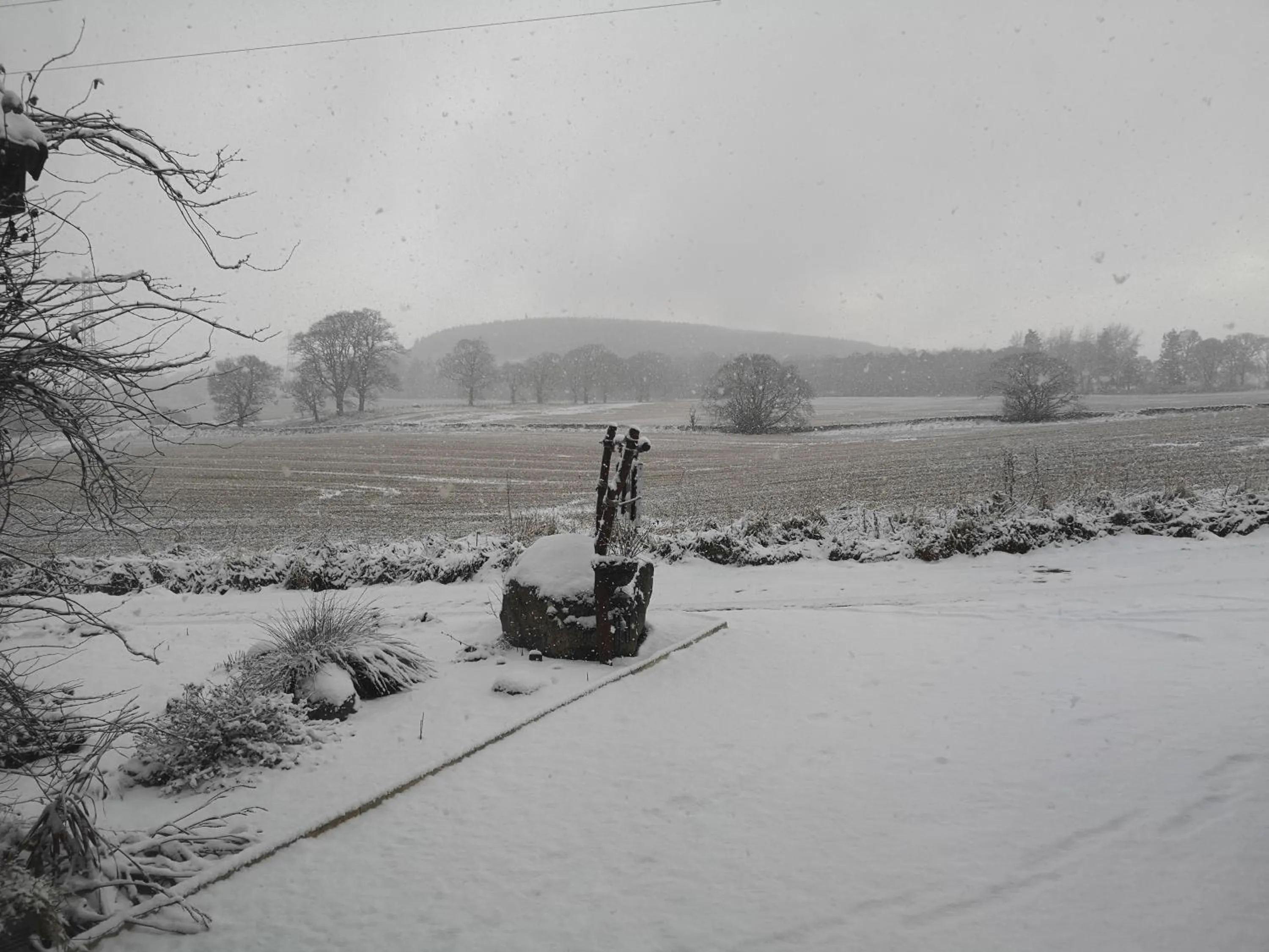 Natural landscape in Beechwood Lodge