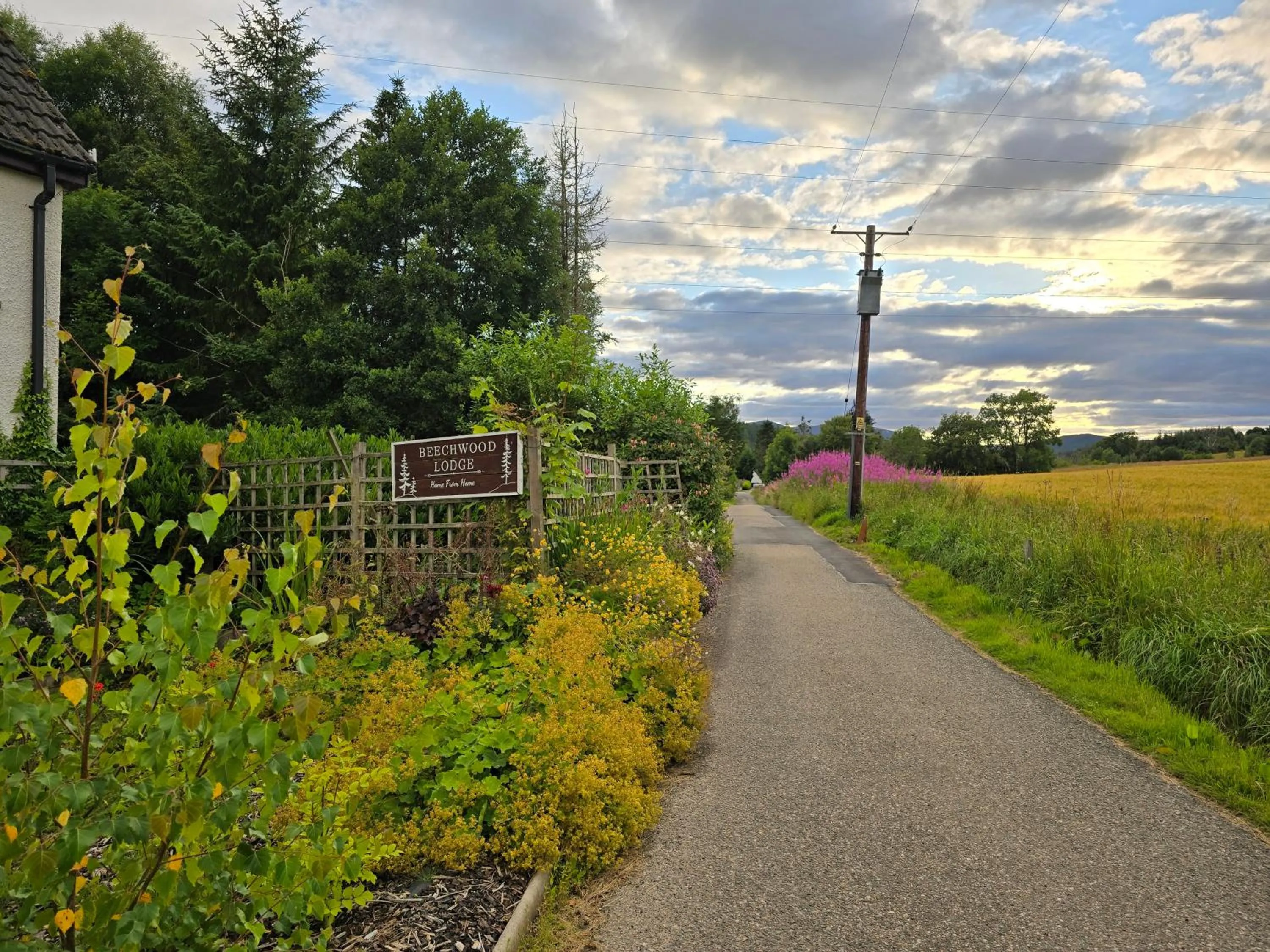 Street view in Beechwood Lodge