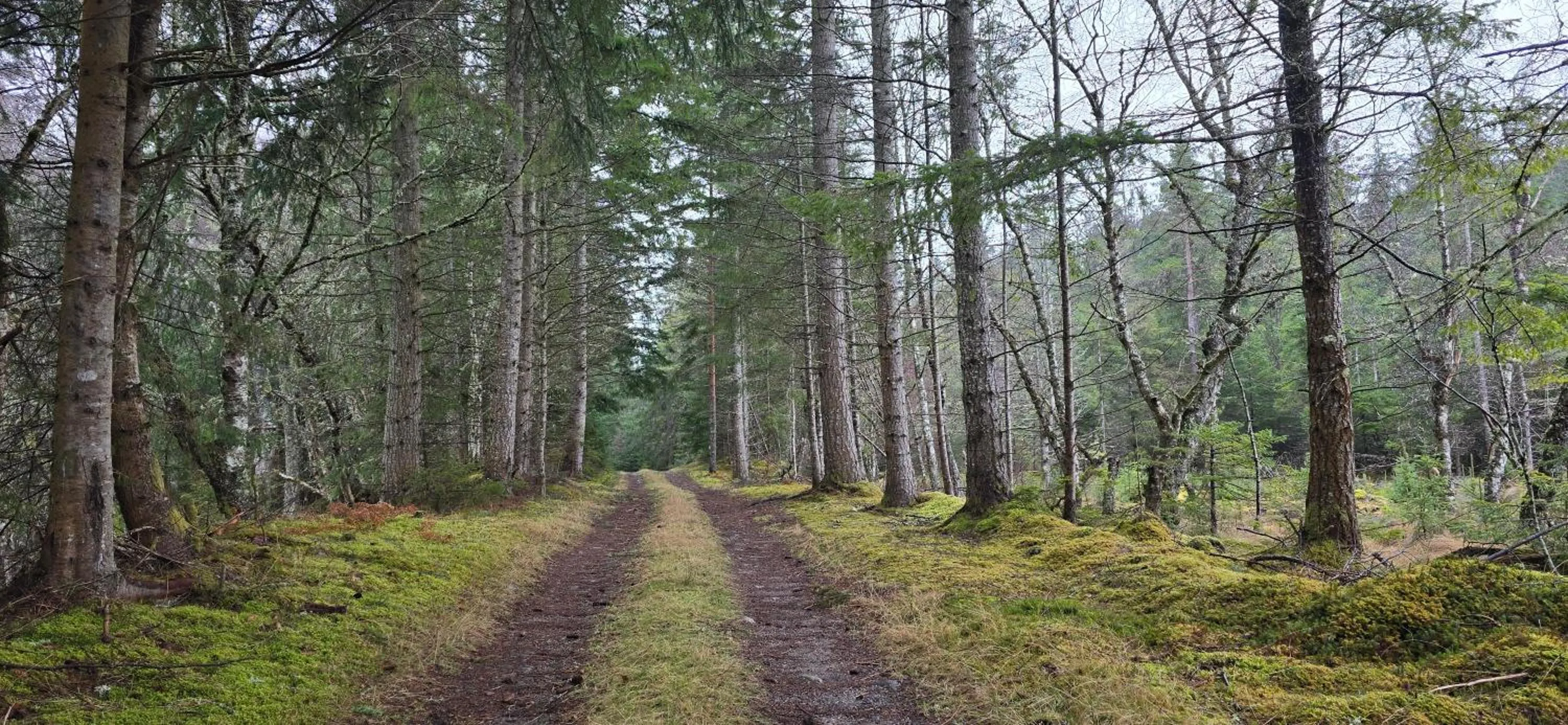 Nearby landmark in Beechwood Lodge