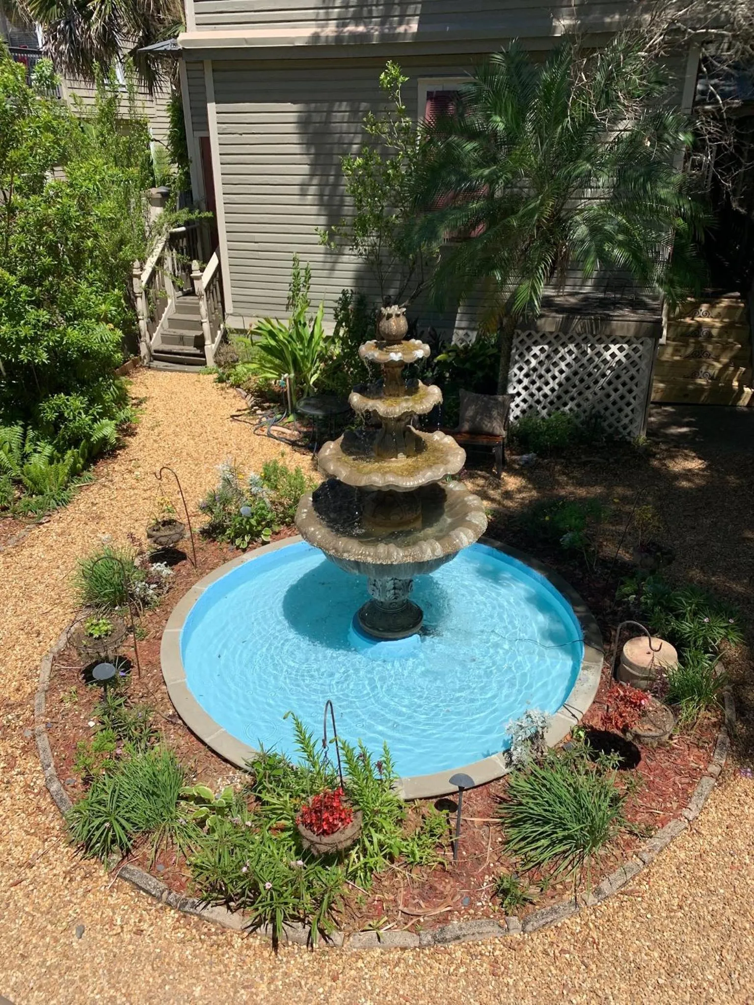 Garden in Peace & Plenty Inn Bed and Breakfast Downtown St Augustine-Adults Only