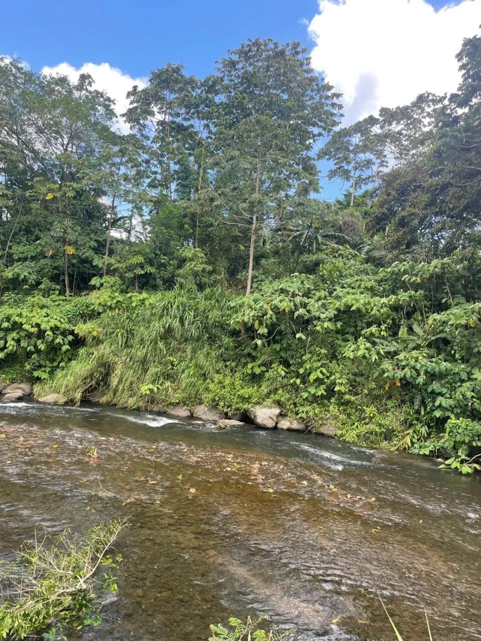 Nearby landmark in Kakao Lodge & Garden Río Celeste