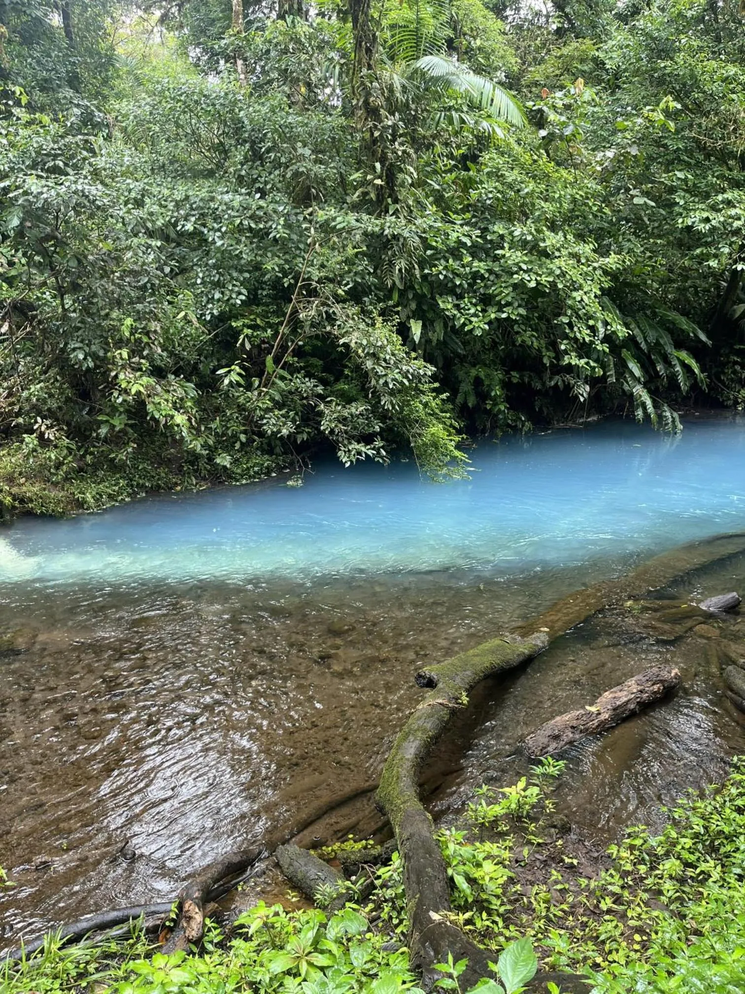 Nearby landmark in Kakao Lodge & Garden Río Celeste