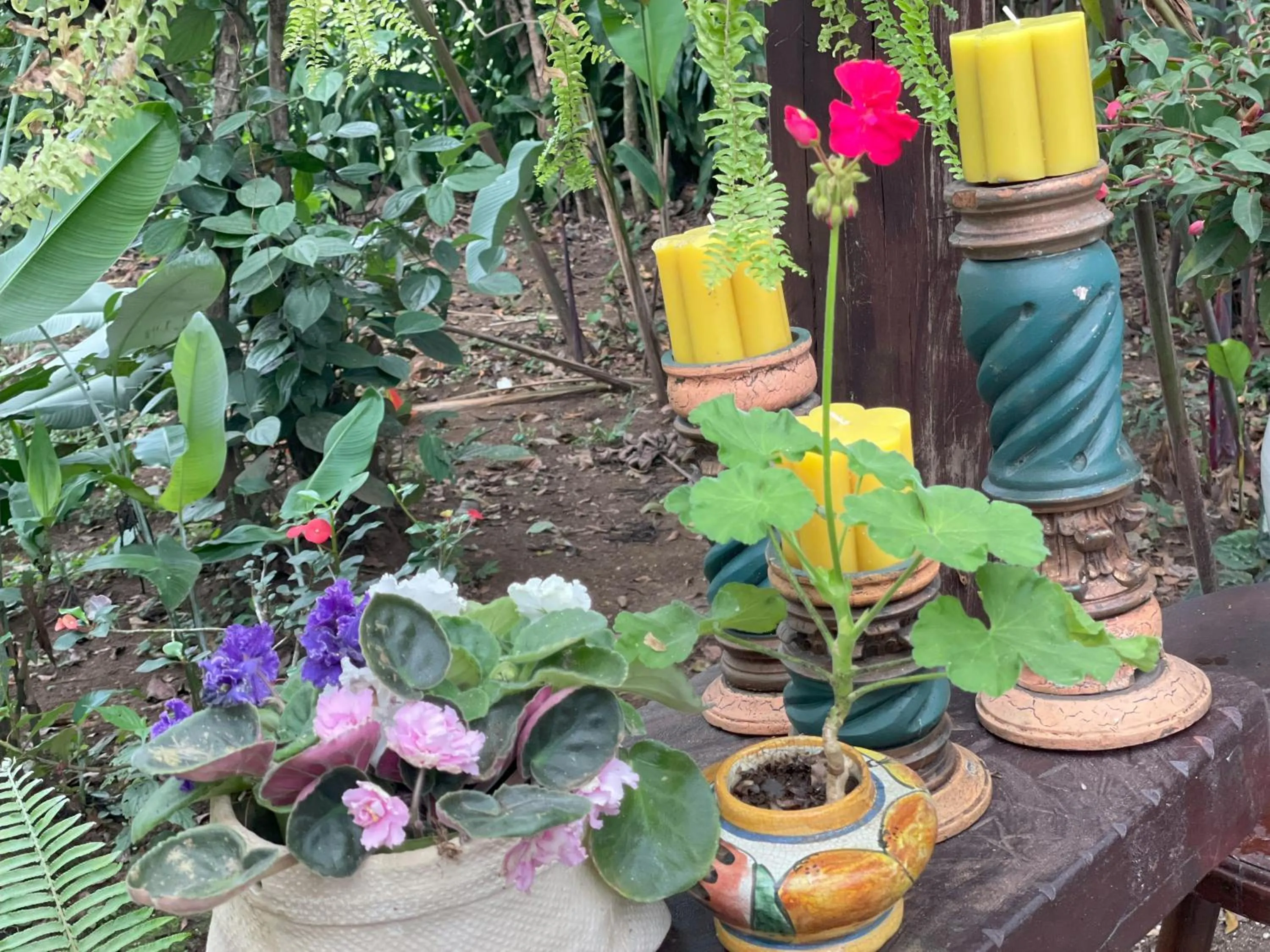 Garden in Kakao Lodge & Garden Río Celeste