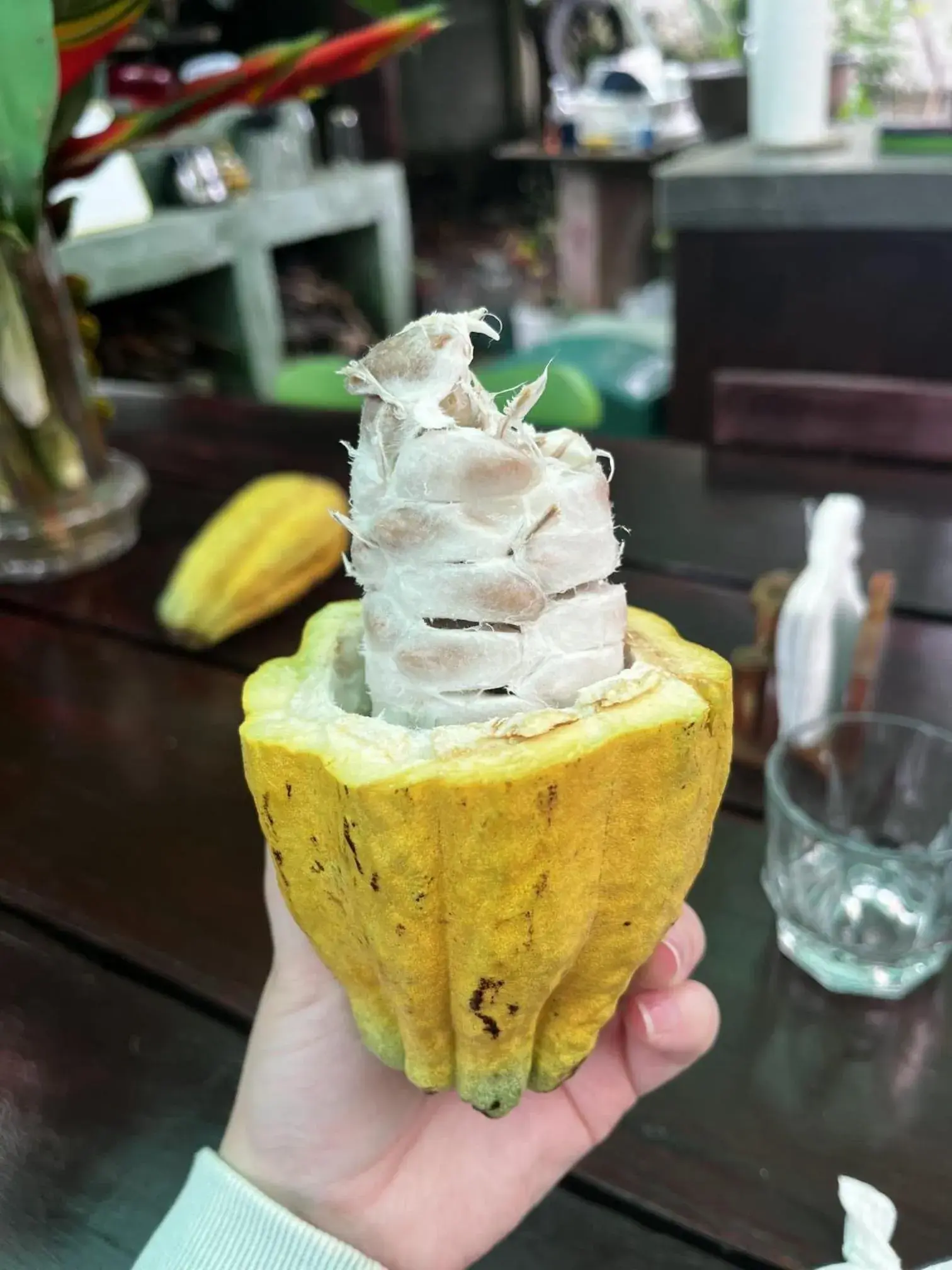 Food in Kakao Lodge & Garden Río Celeste Food in Kakao Lodge & Garden Río Celeste