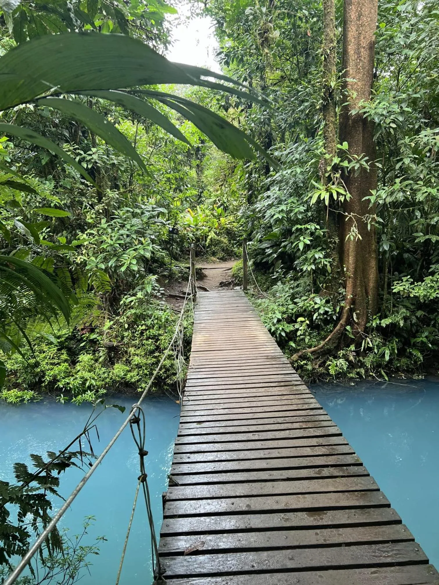 River view in Kakao Lodge & Garden Río Celeste