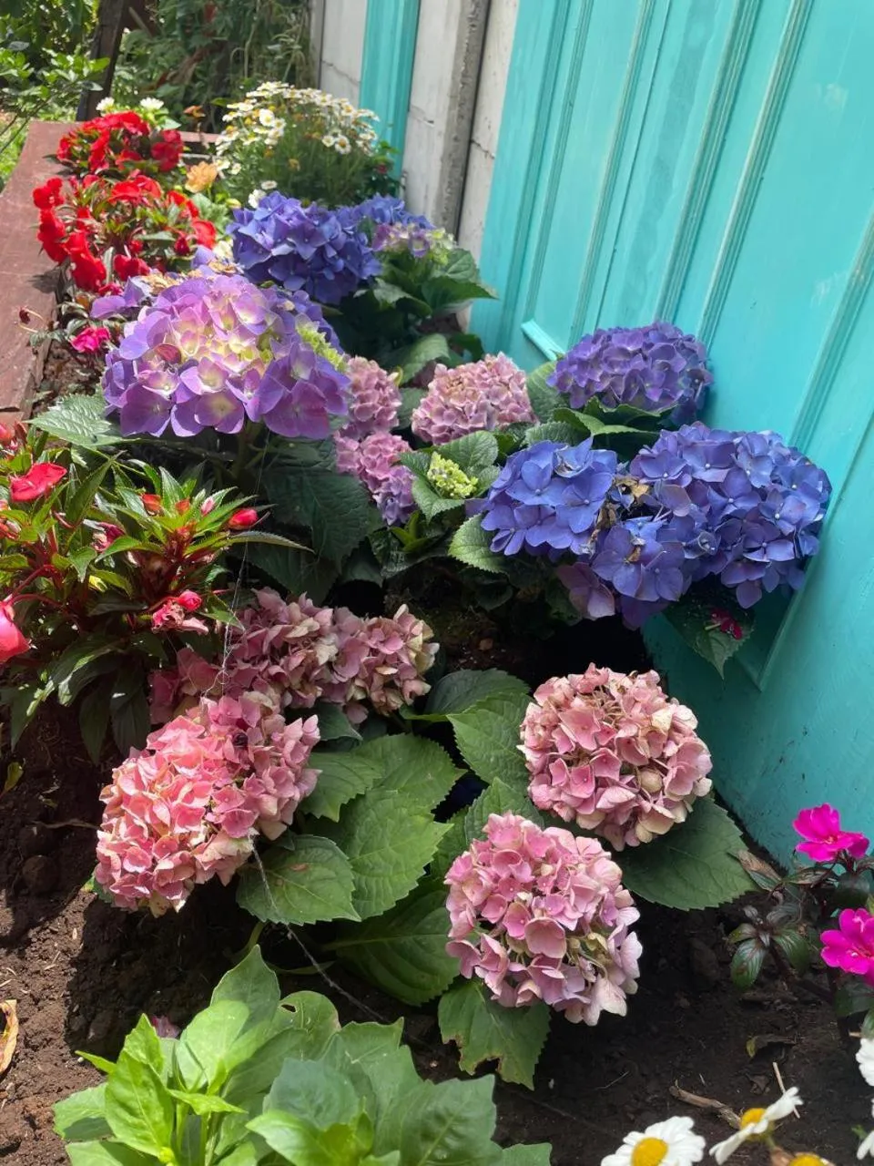 Garden in Kakao Lodge & Garden Río Celeste