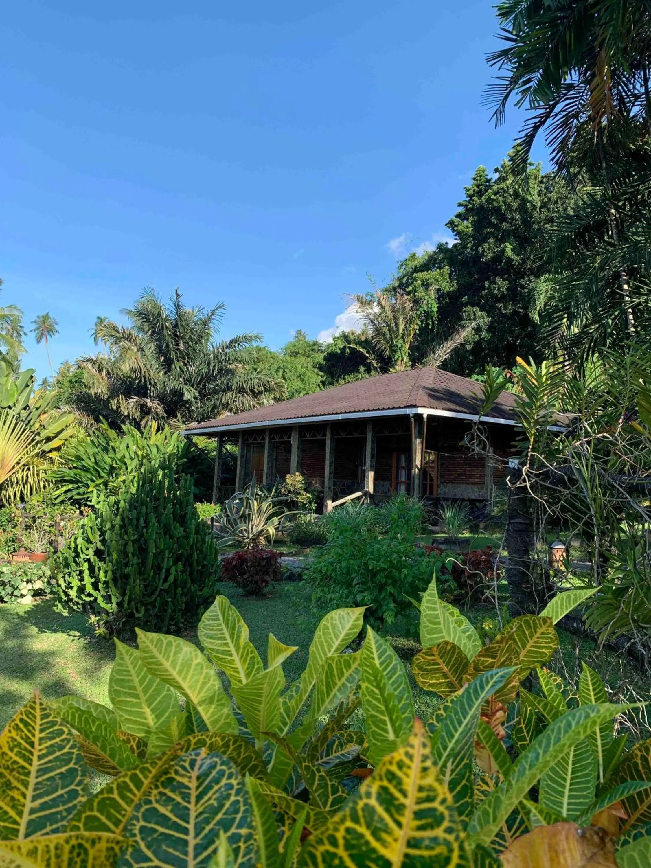 Garden in Lumbalumba Resort - Manado
