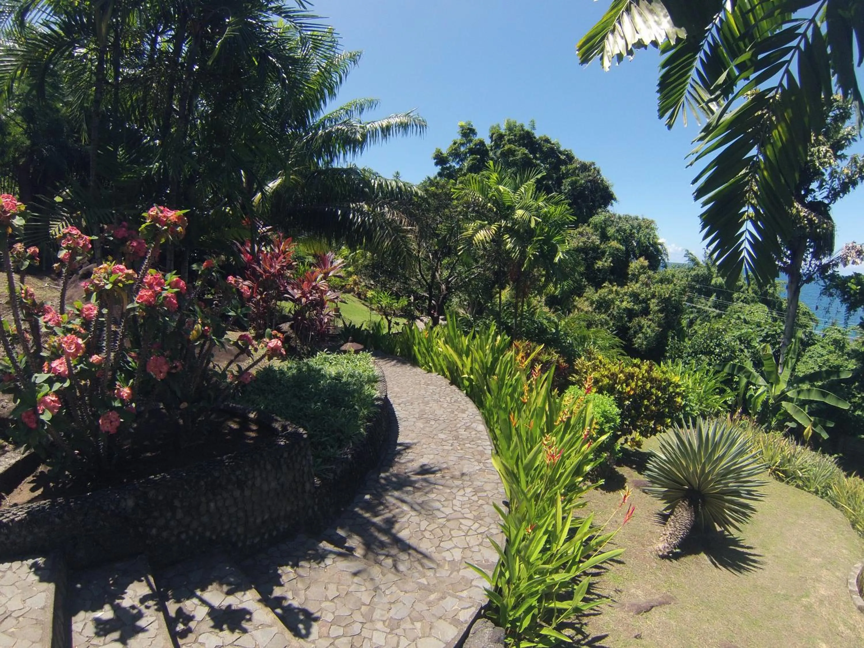 Garden in Lumbalumba Resort - Manado