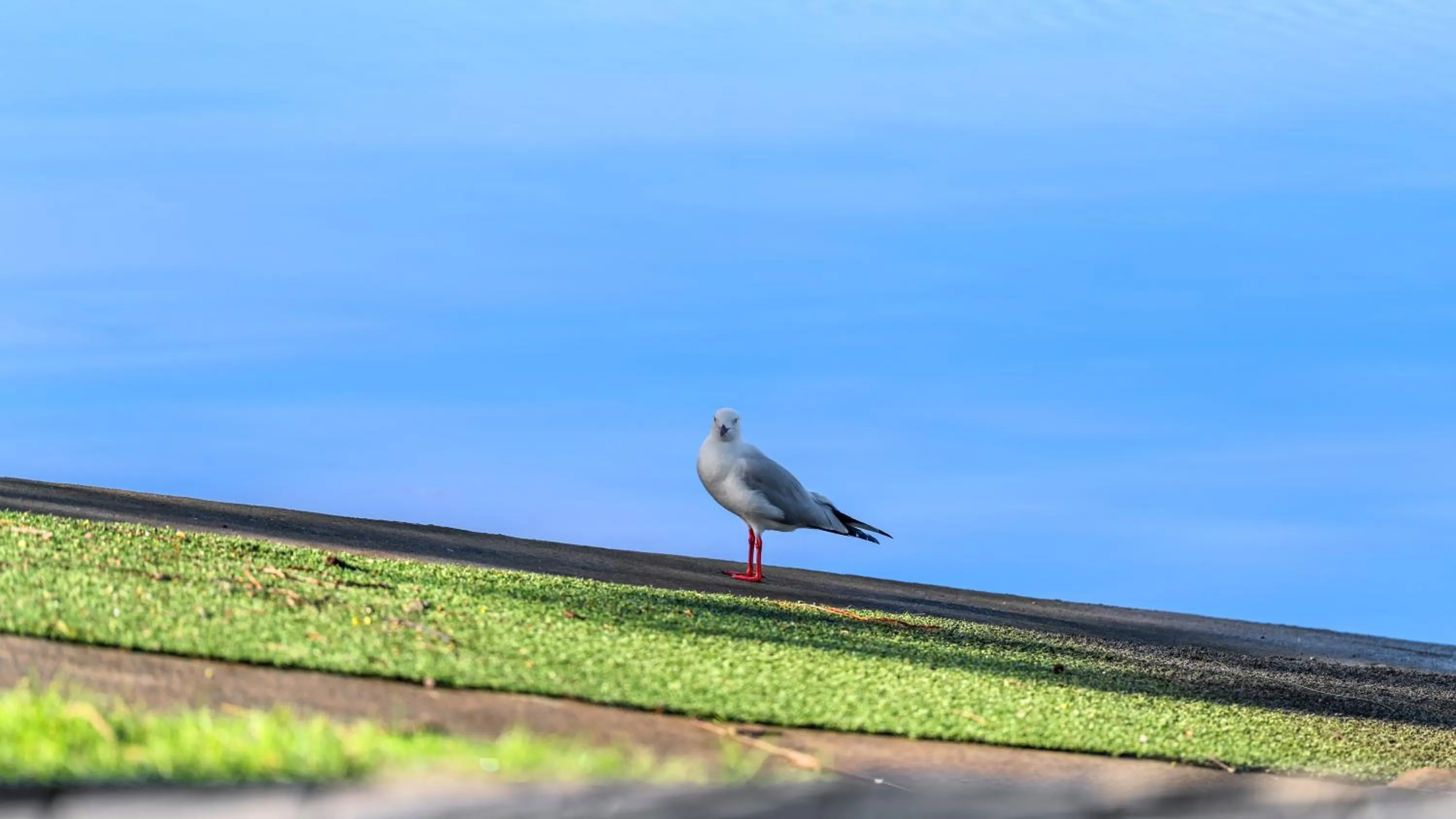 Day in Wooli River Lodges