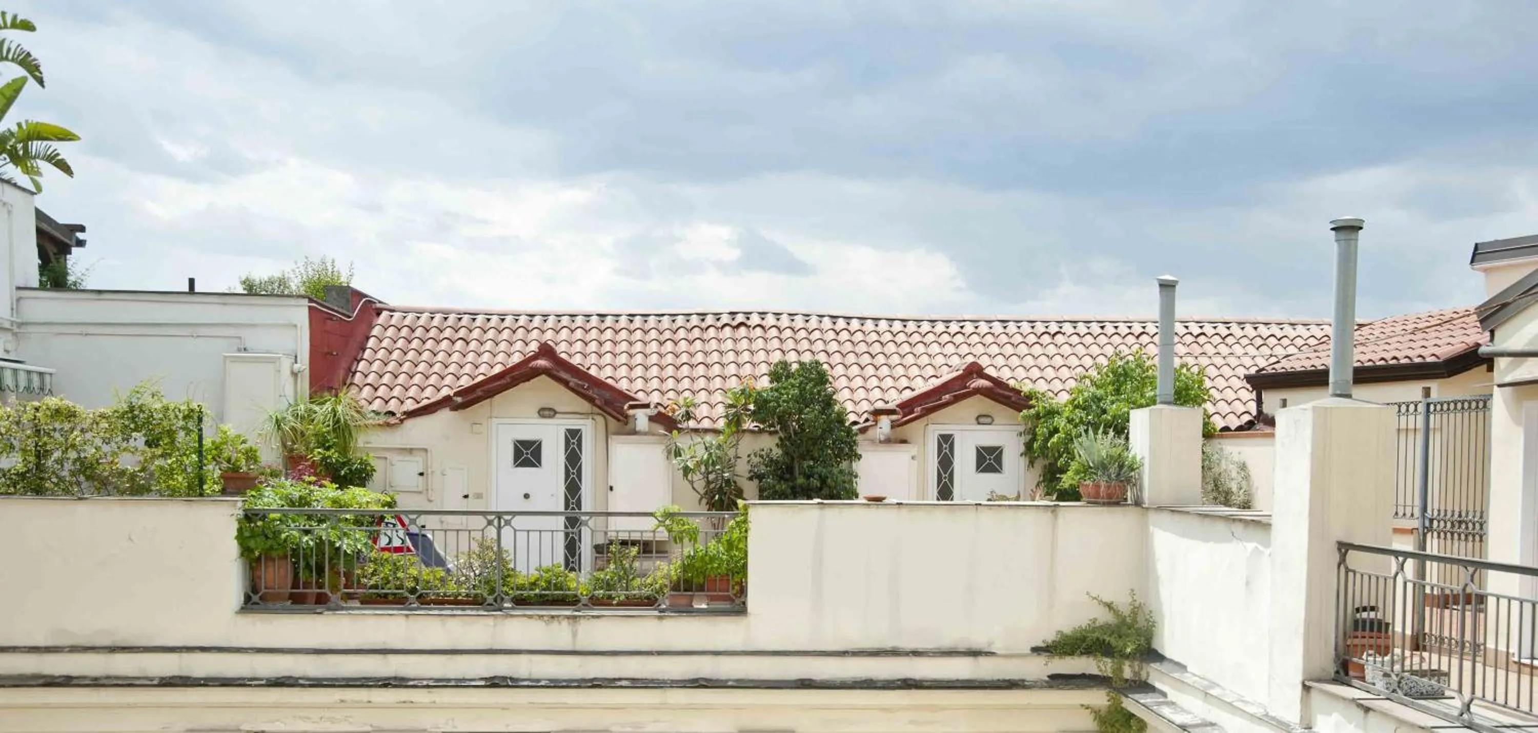 Day in Morelli Rooftop