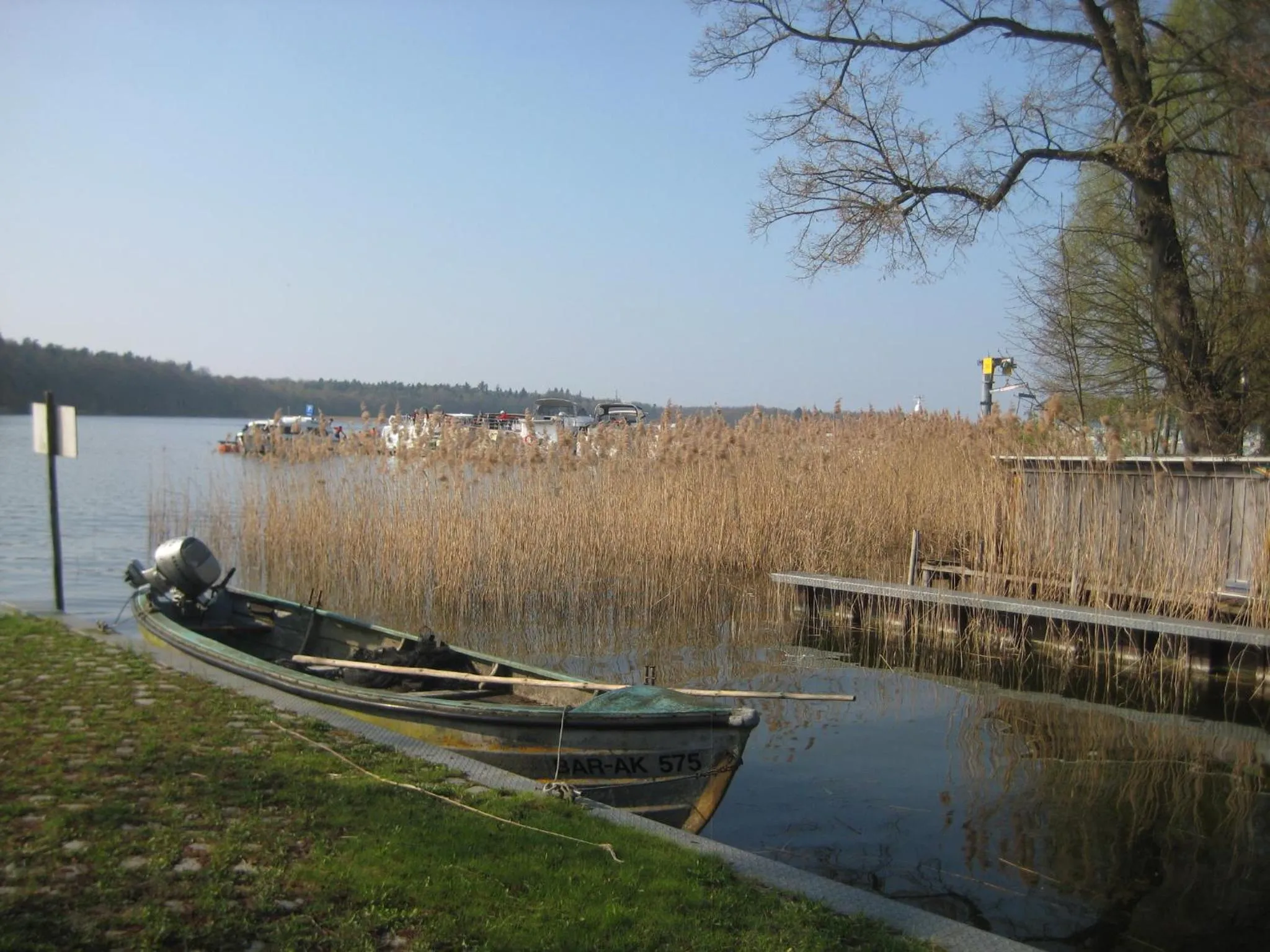 Natural landscape in Schloss-und Seeblick Apartment