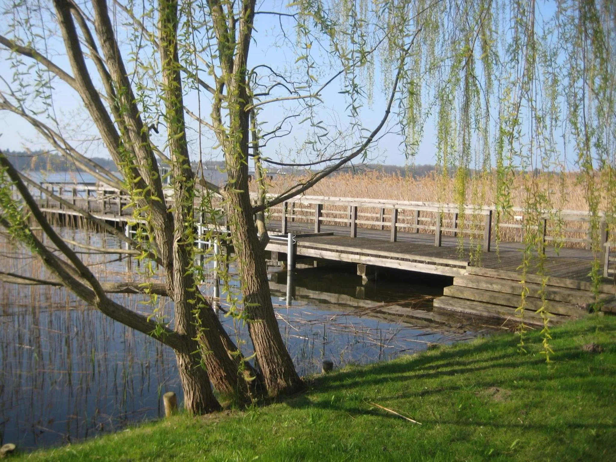 Natural landscape in Schloss-und Seeblick Apartment