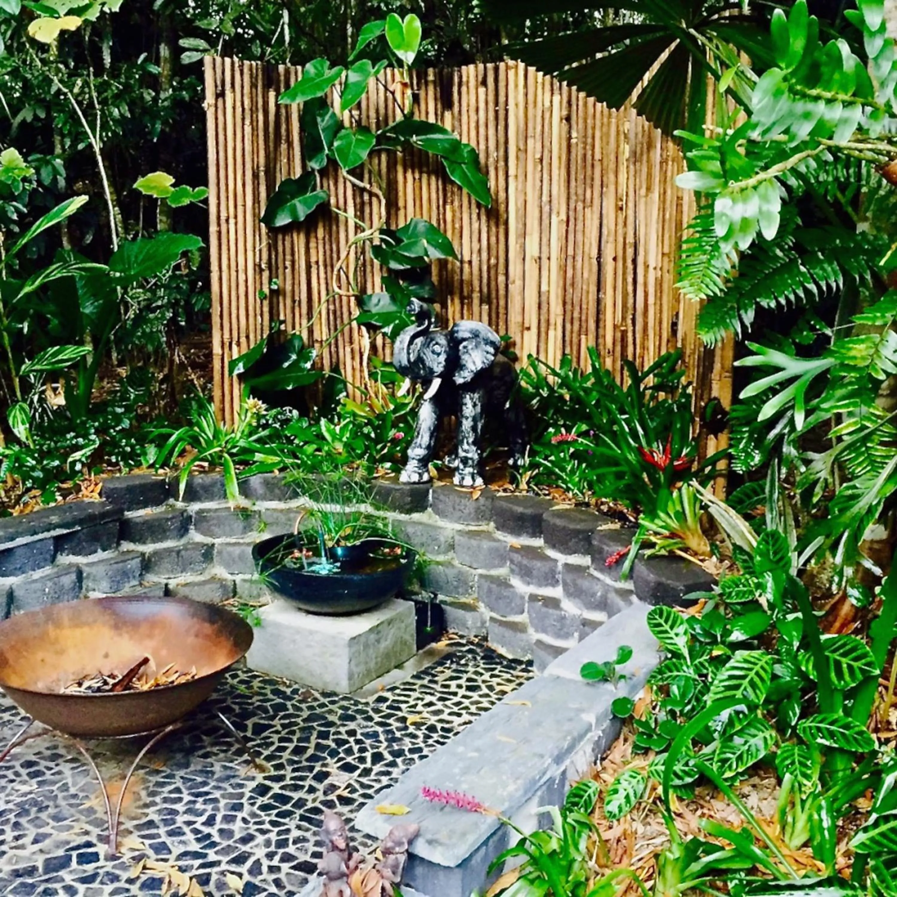 Garden in Kuranda Ngorongoro Lodge