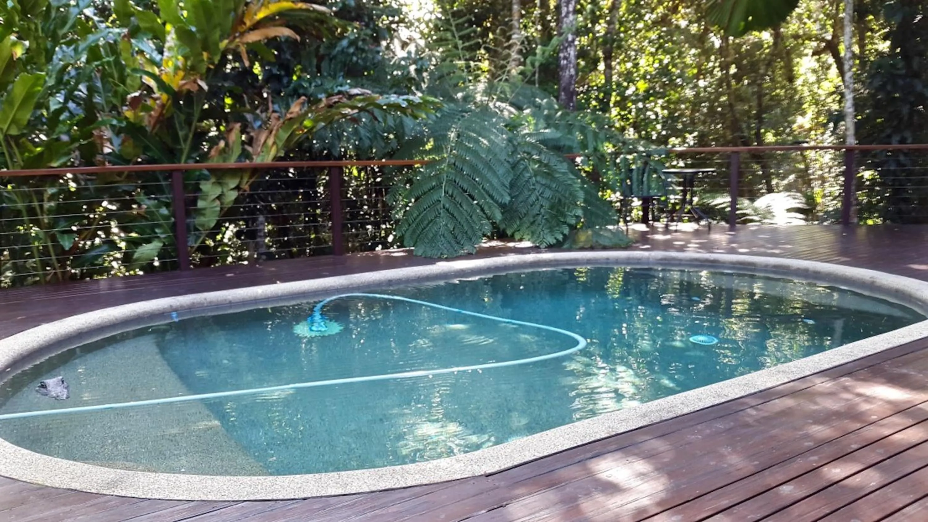 Swimming pool in Kuranda Ngorongoro Lodge