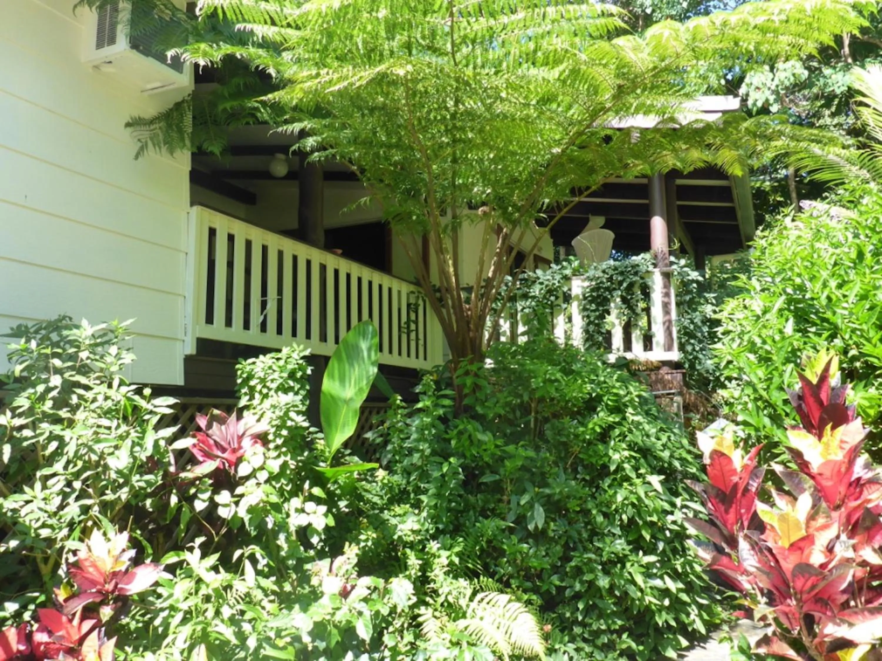 Patio in Kuranda Ngorongoro Lodge