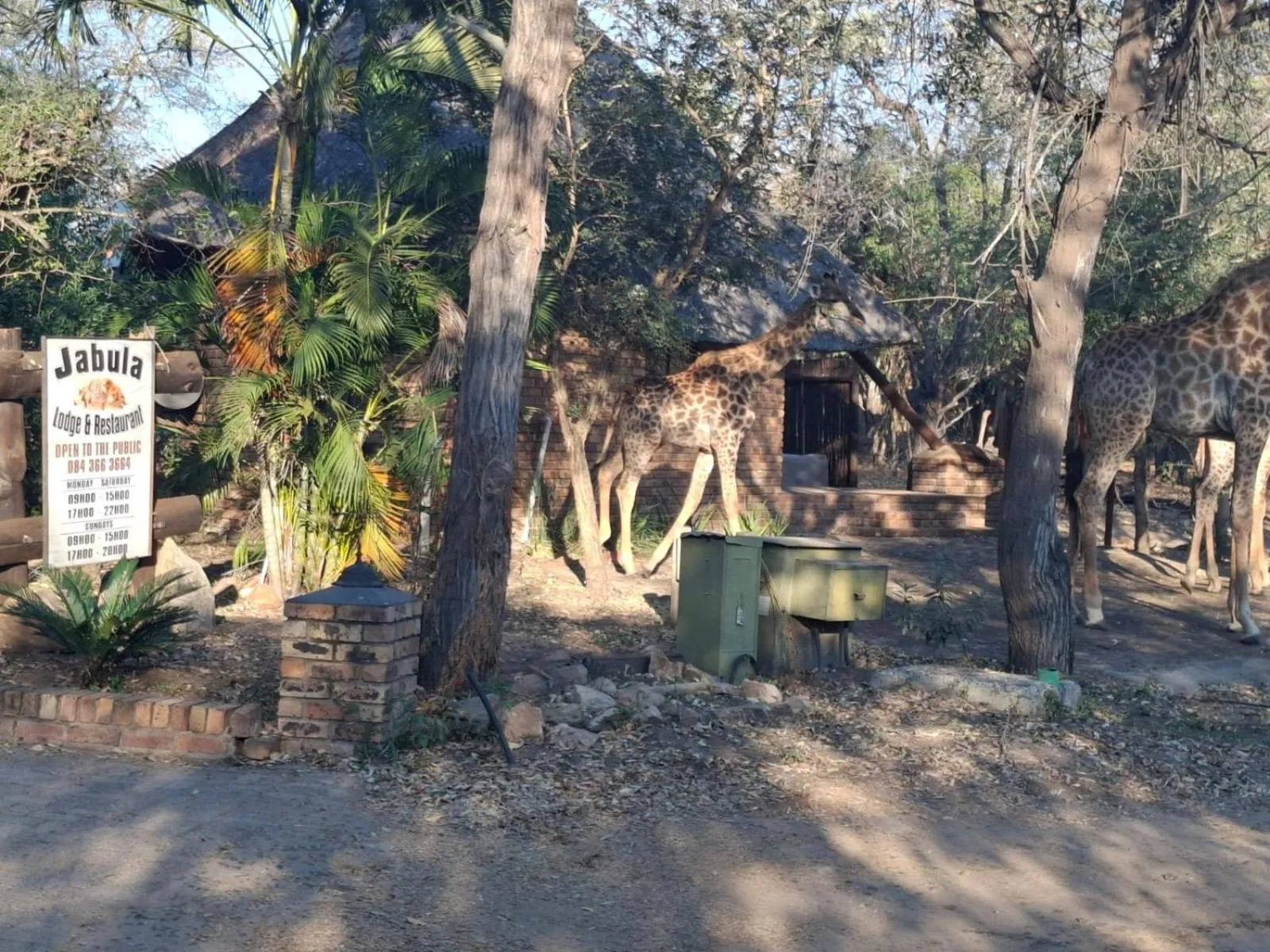 Property building in Jabula Kruger Safari Lodge