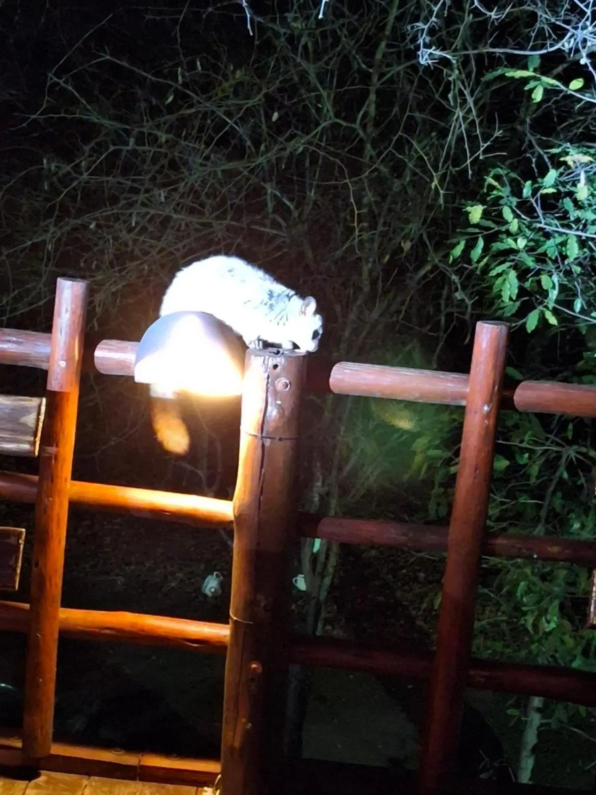 Restaurant/places to eat in Jabula Kruger Safari Lodge