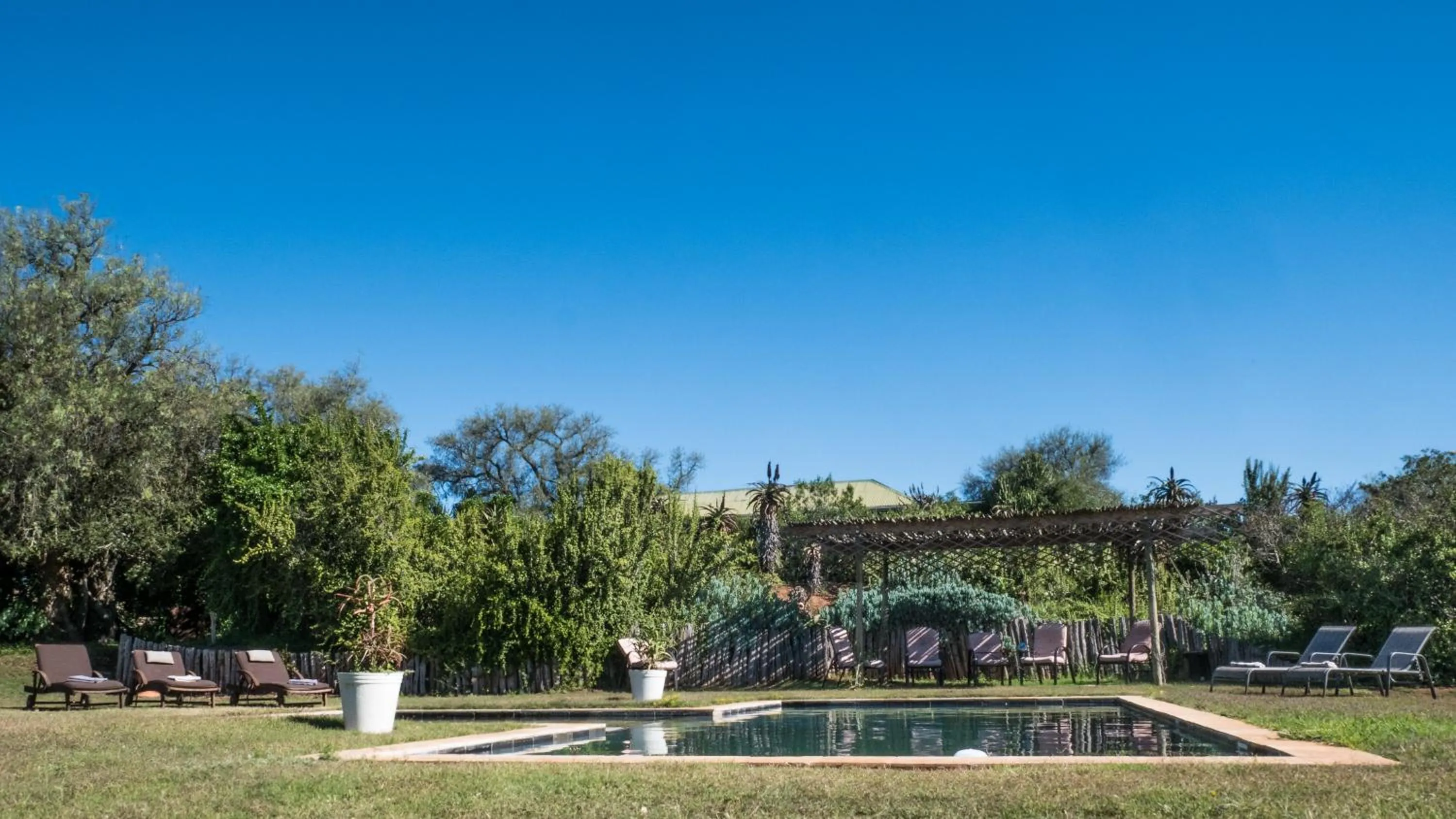 Swimming pool in Leeuwenbosch Shearers Lodge - Amakhala Game Reserve