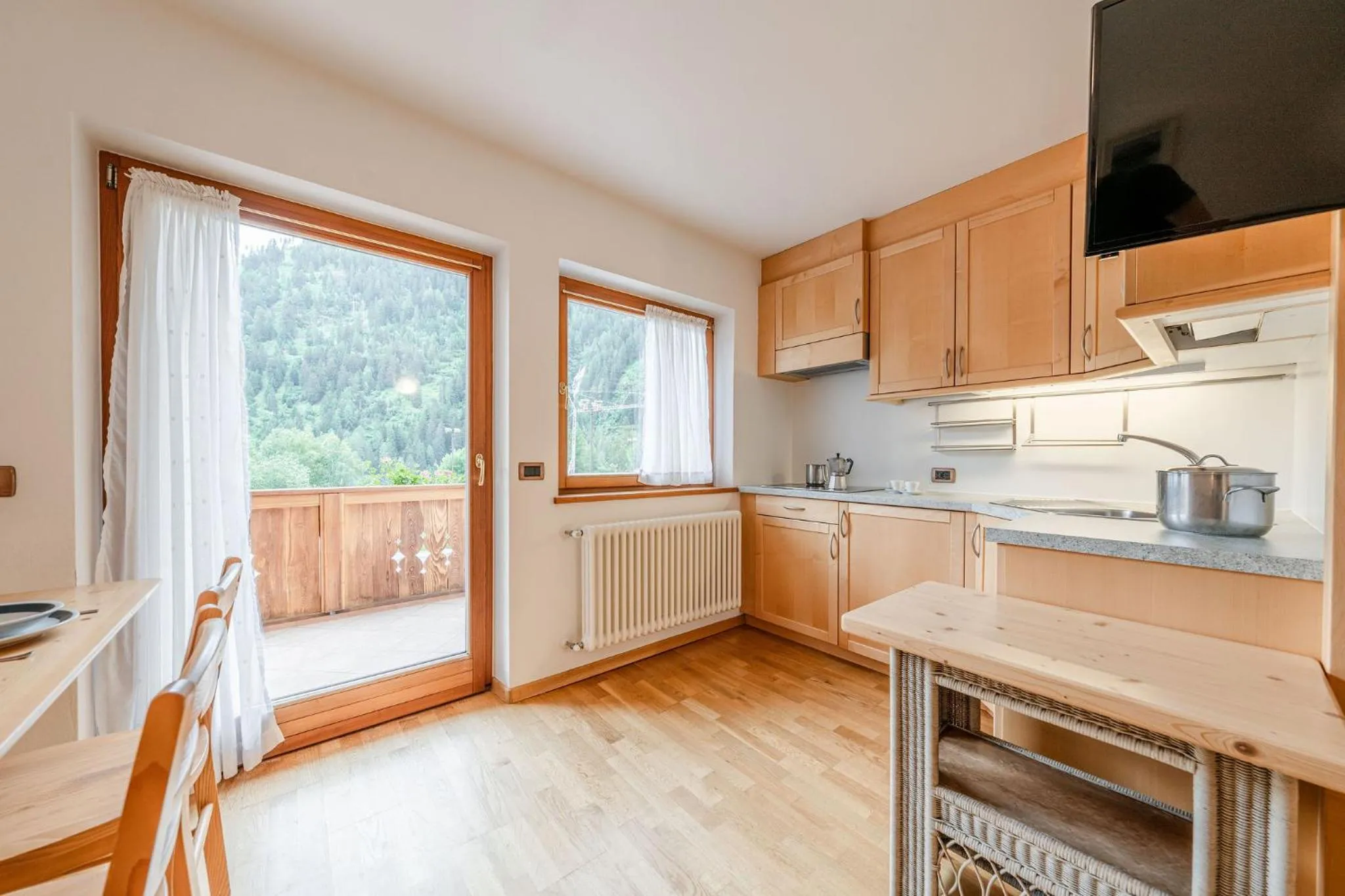 Kitchen or kitchenette in Family Apartments Vioz