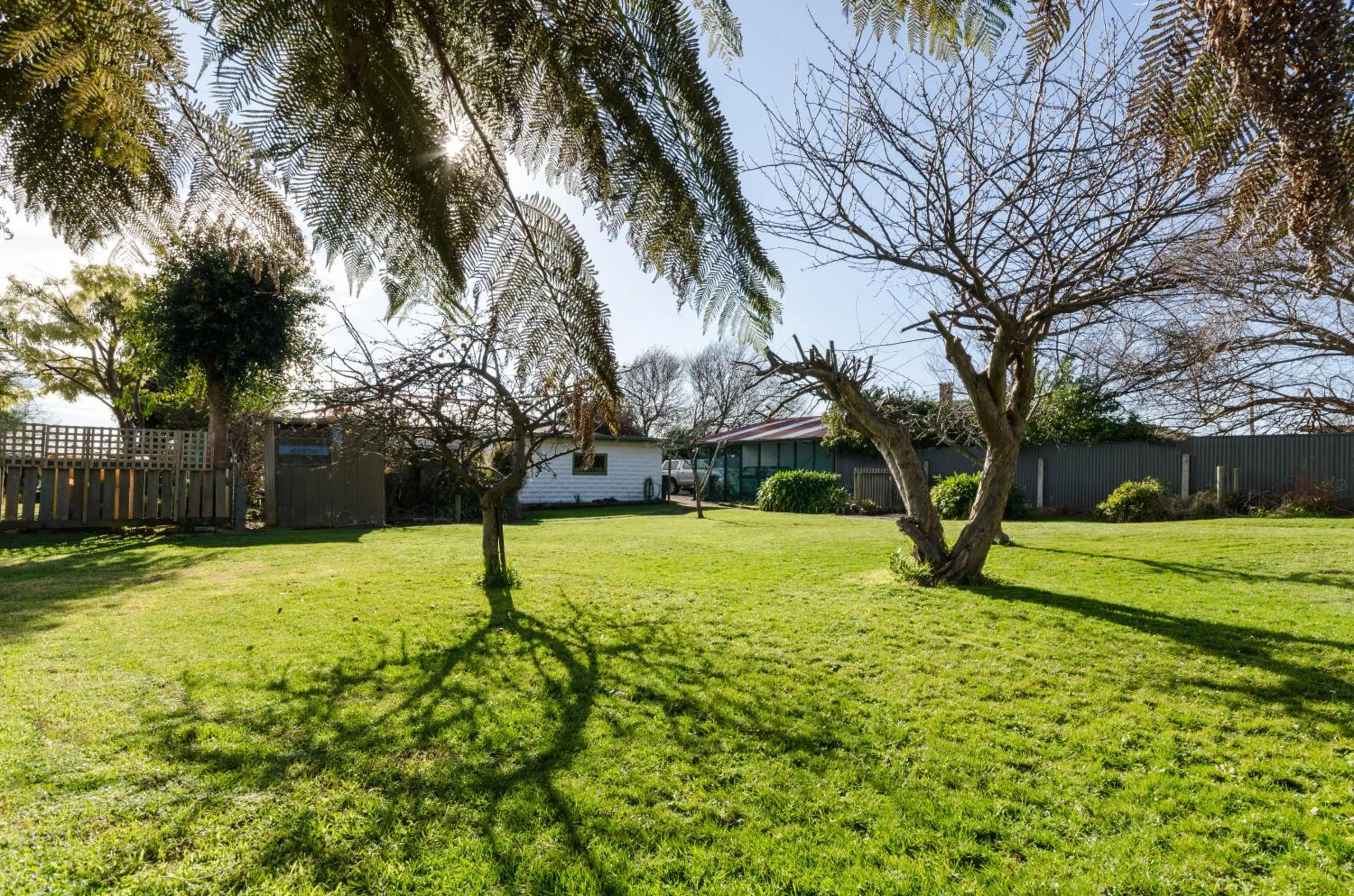 Garden in Sunrise at Penguin