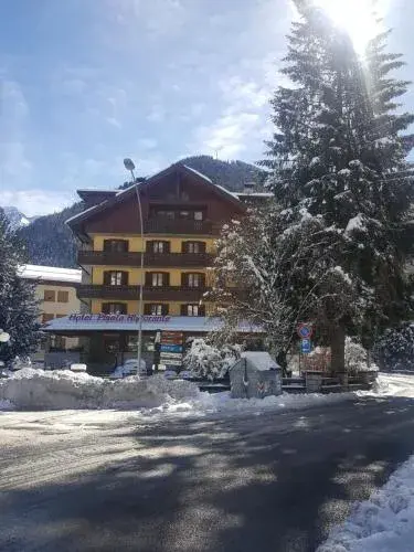 Hotel Pineta Hotel Pineta