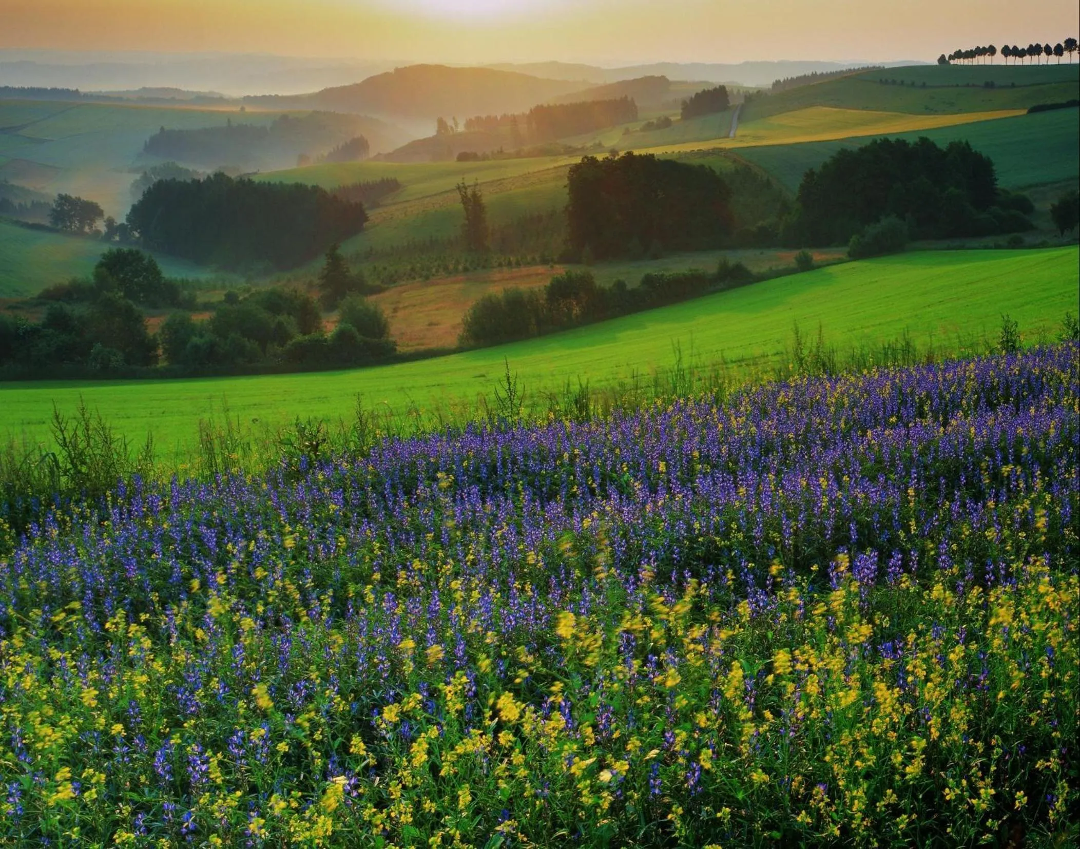 Hiking in Hotel du Commerce - Restaurant La Table de Clervaux