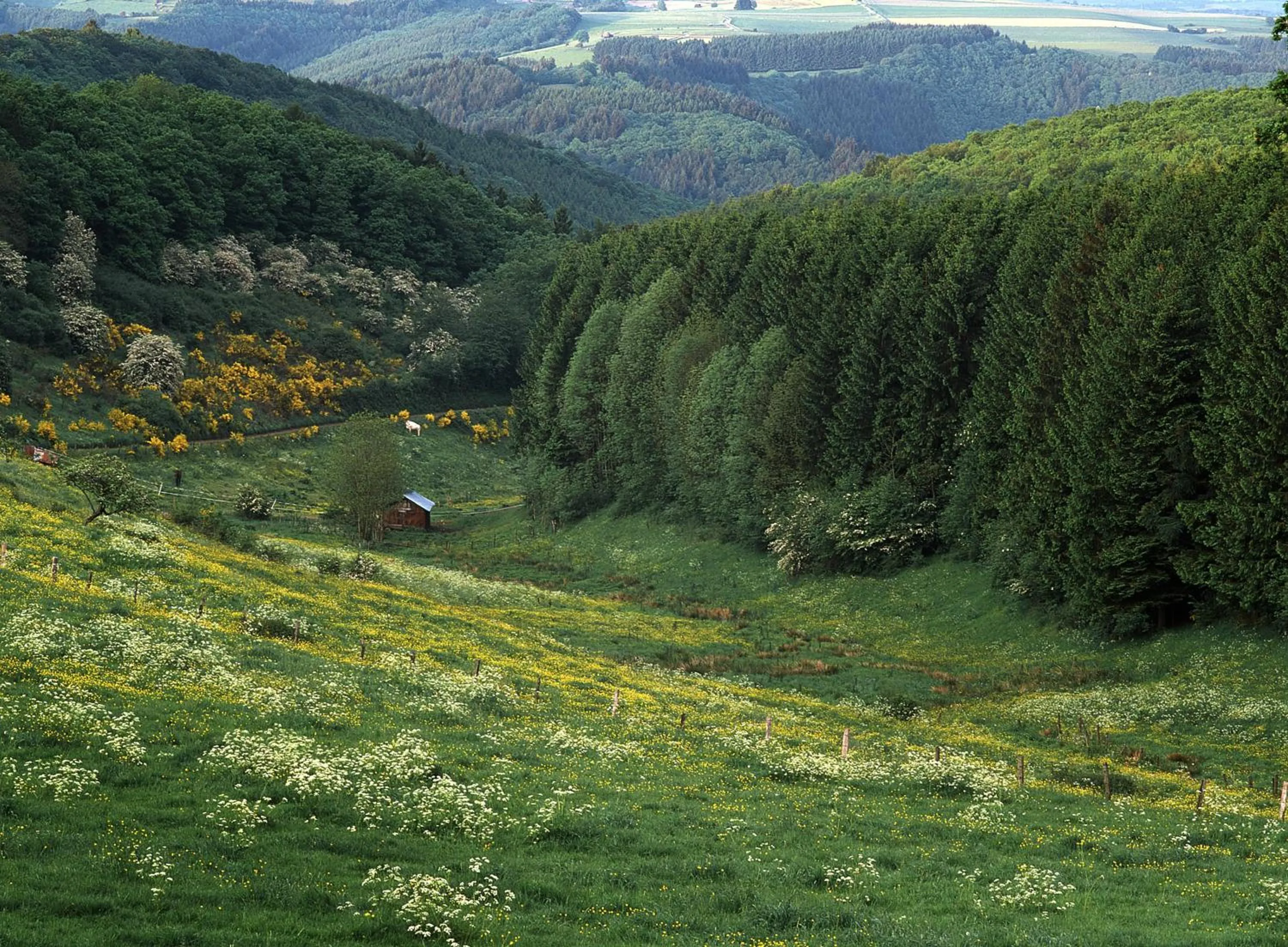Hiking in Hotel du Commerce - Restaurant La Table de Clervaux