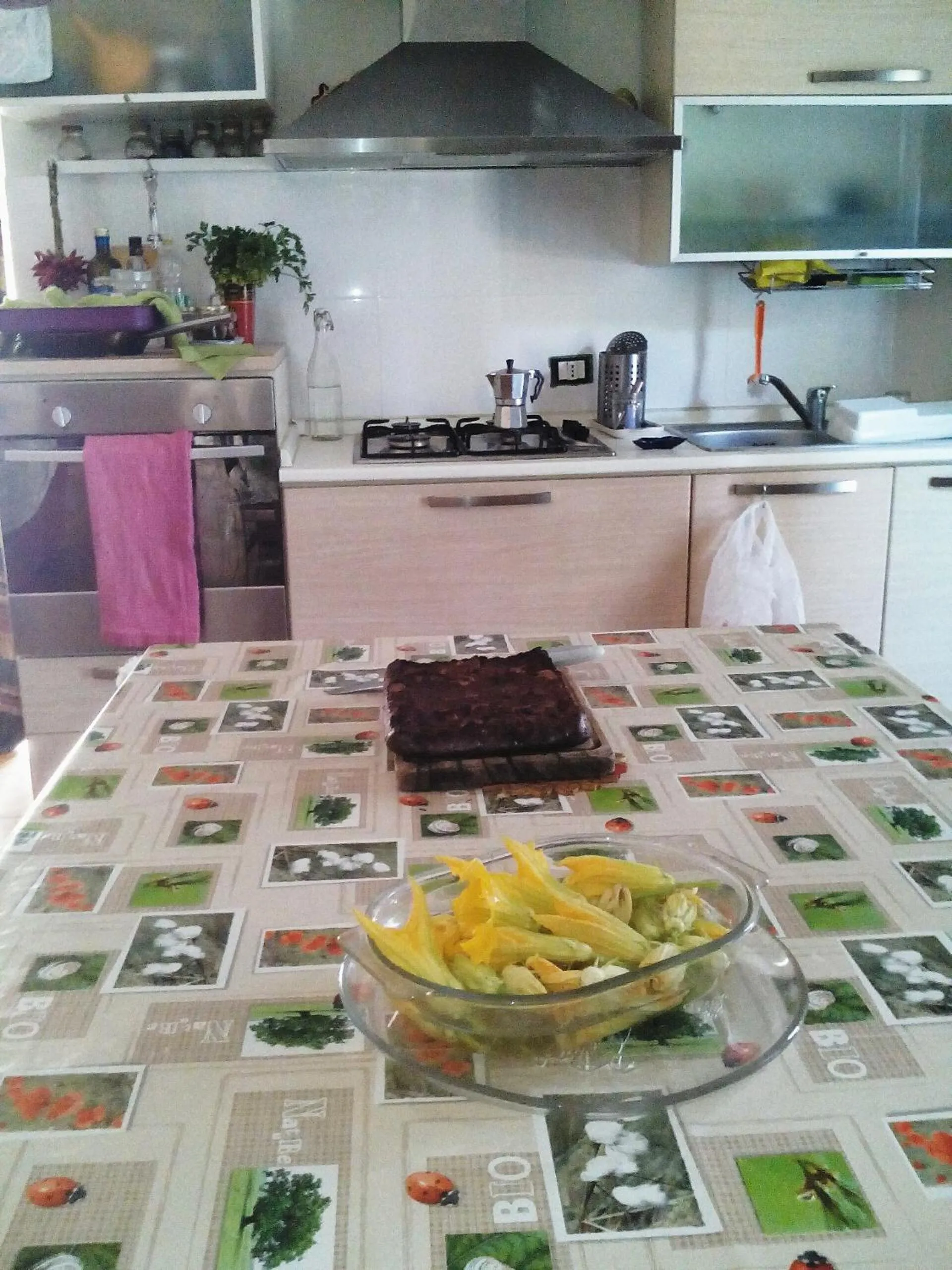 Casa Tellina lungomare scogliera