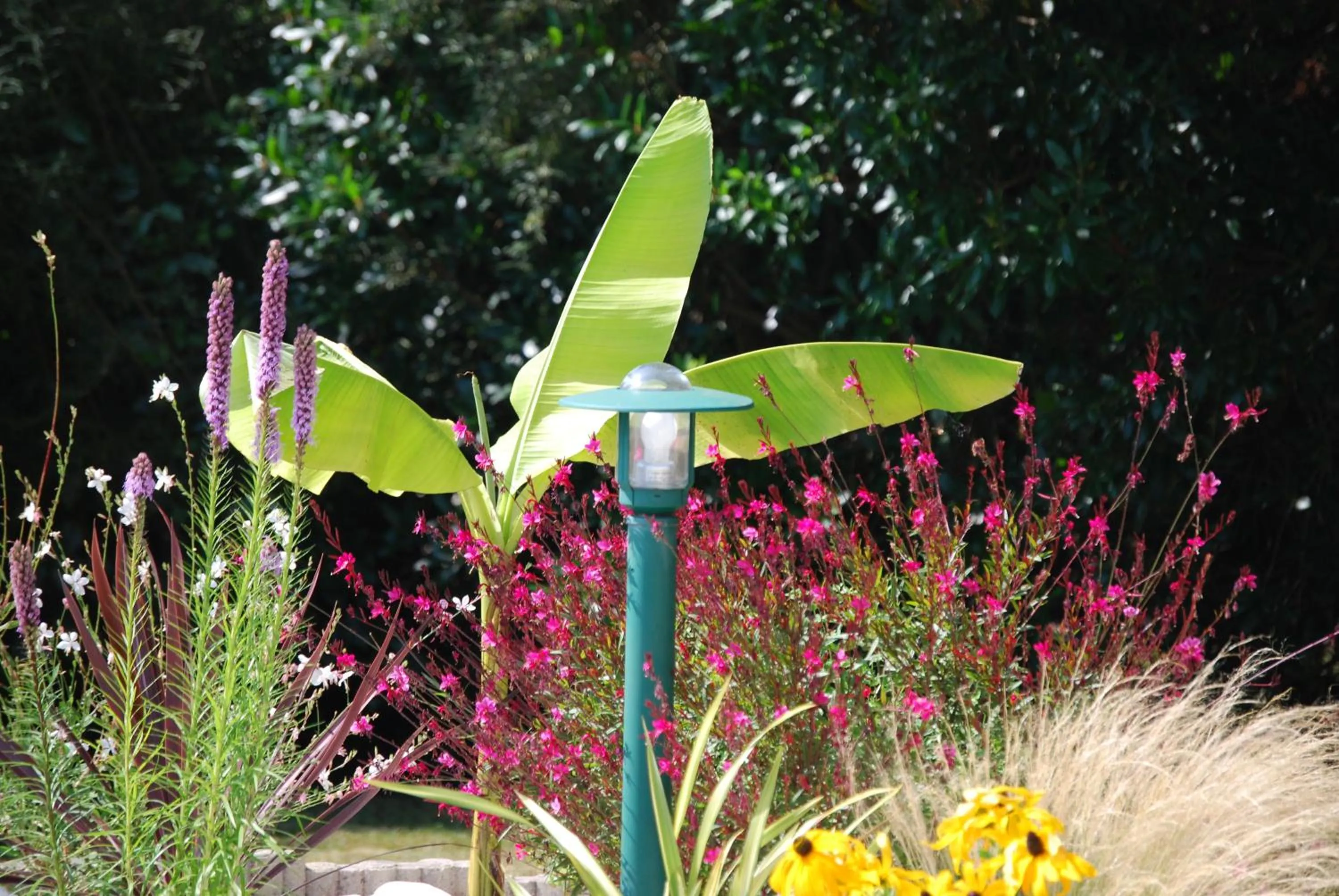 Garden in Kerzara - Le Gîte