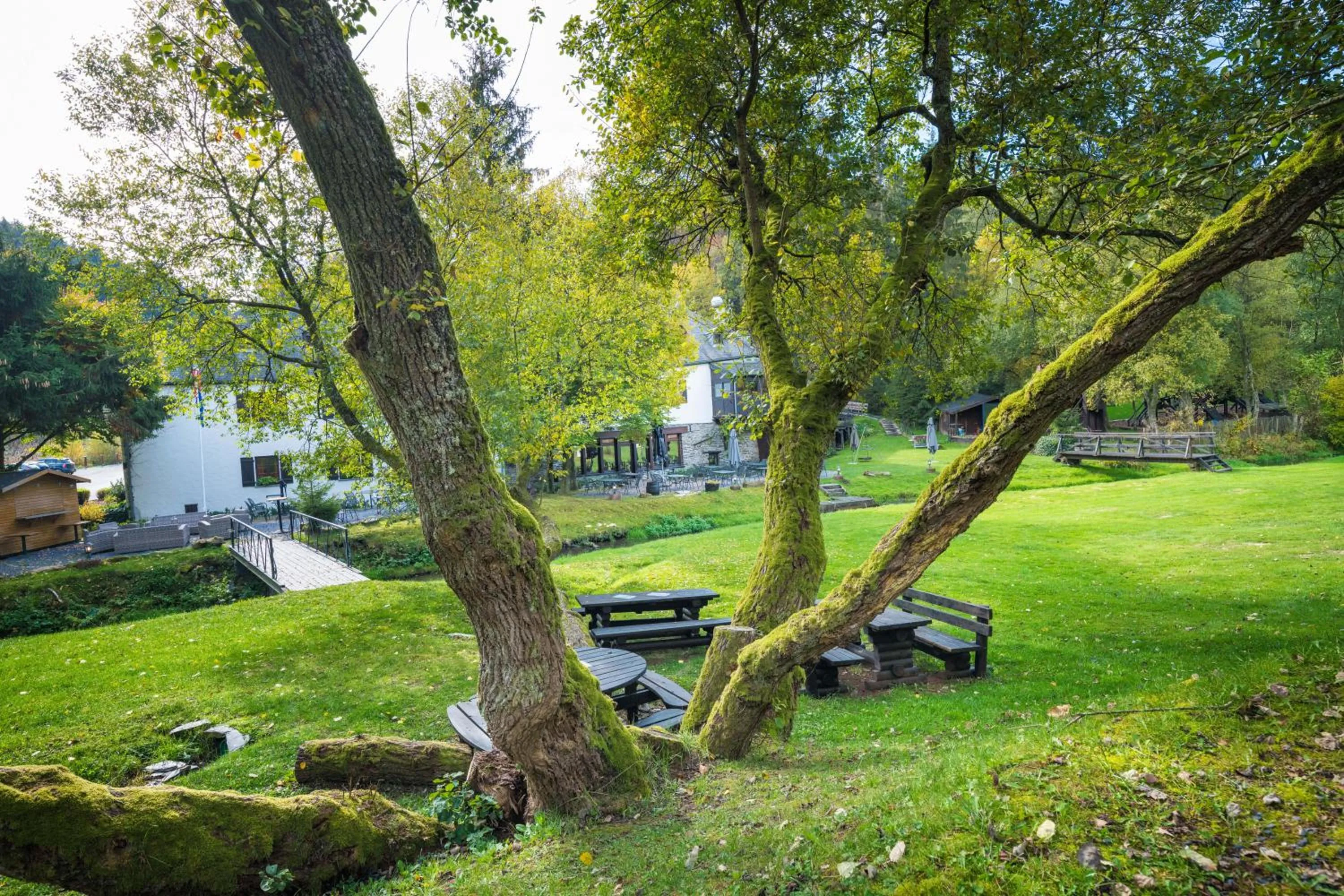 Natural landscape in Domaine du Moulin d'Asselborn