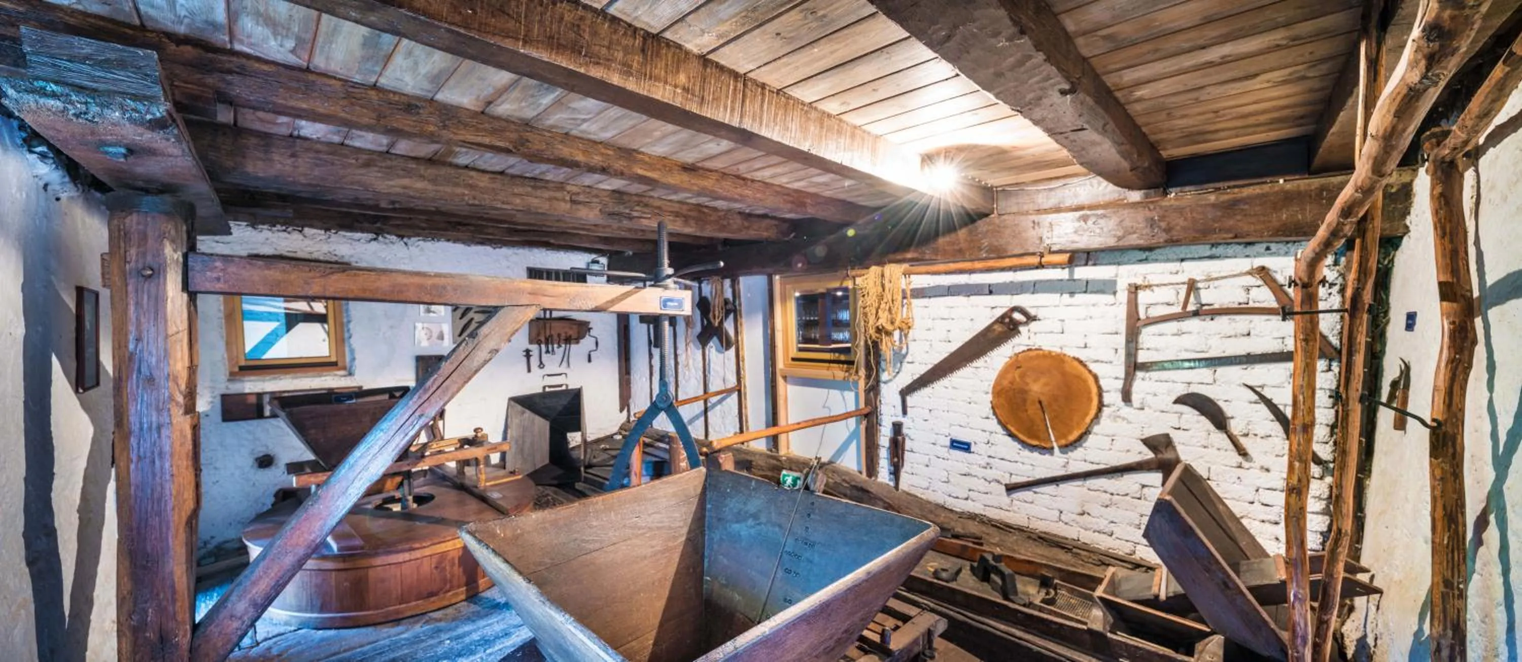 Activities in Domaine du Moulin d'Asselborn