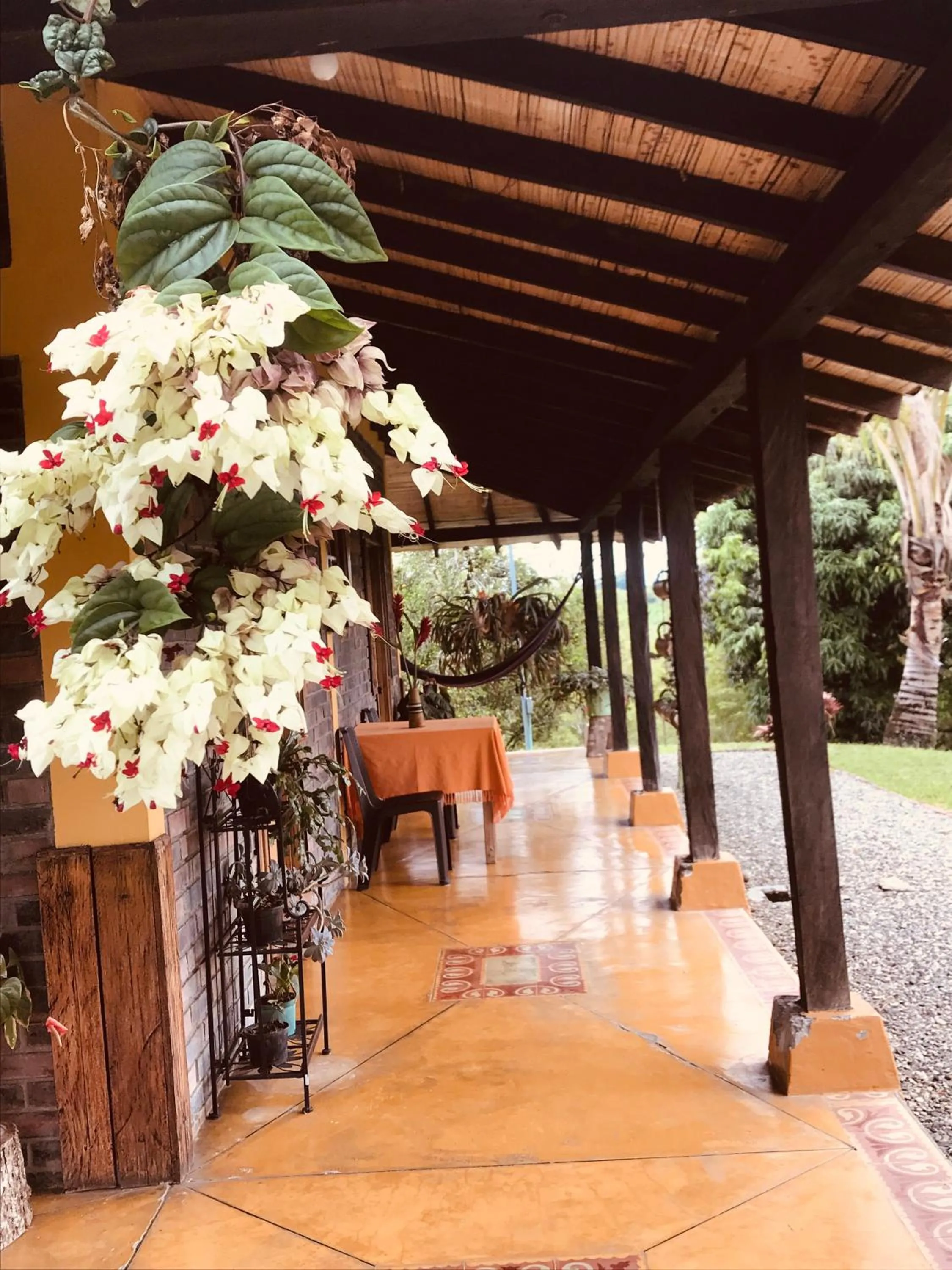 Casa Hotel Sao Paulo