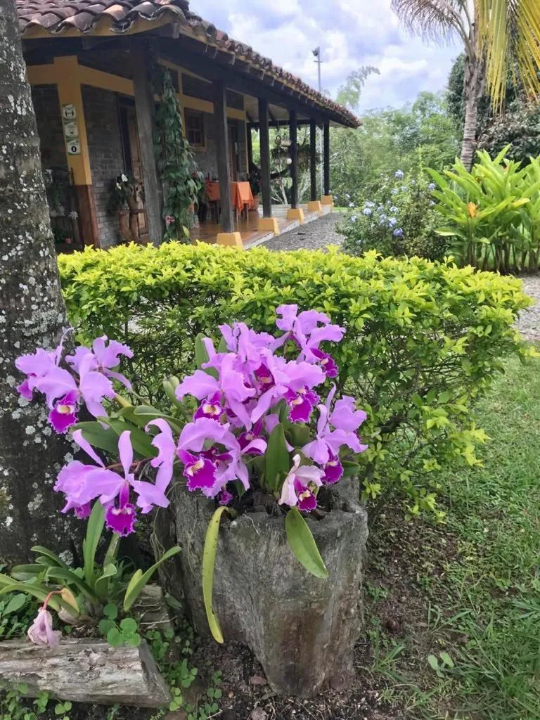 Casa Hotel Sao Paulo