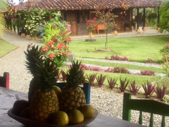 Garden in Casa Hotel Sao Paulo