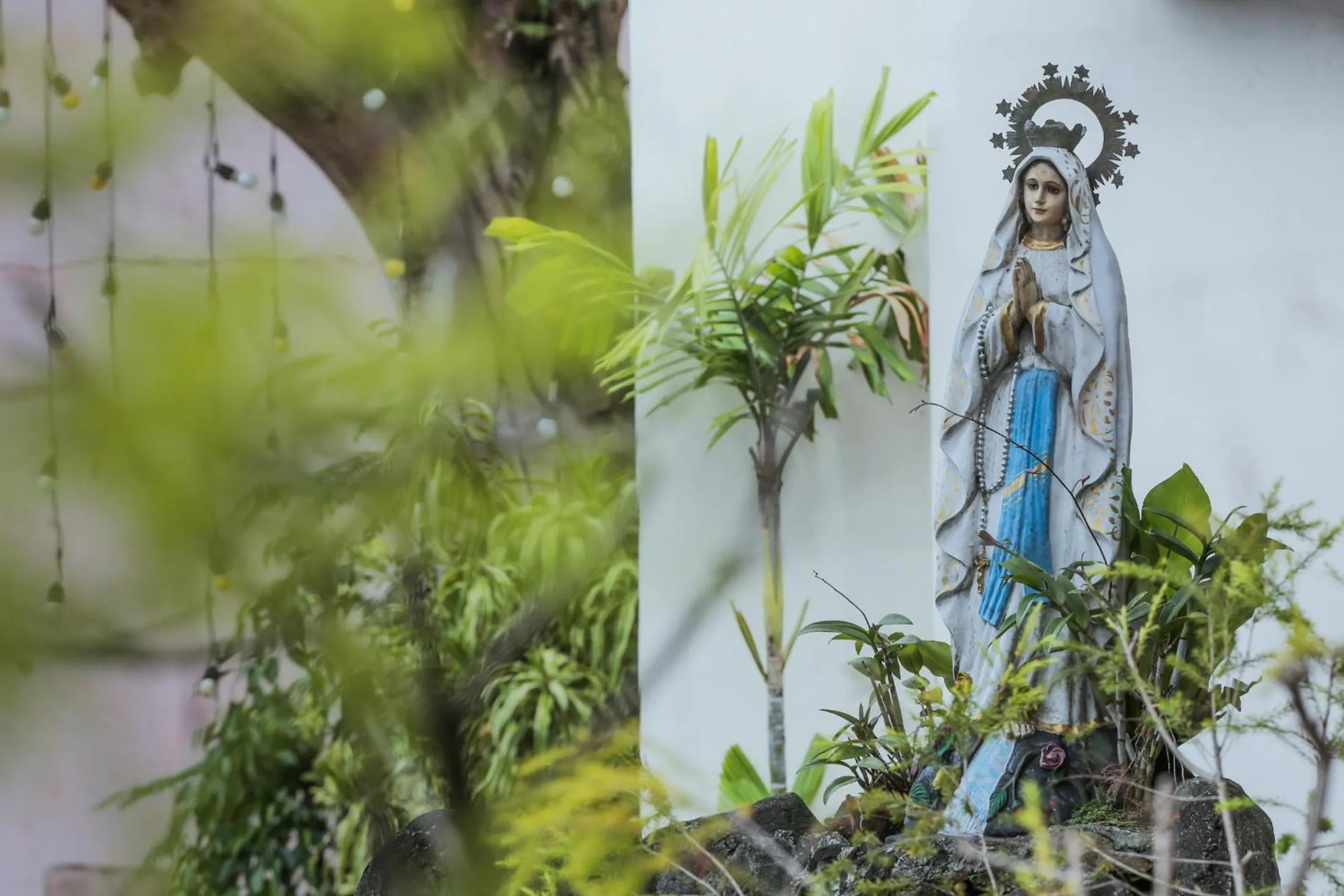 Garden in Rosvenil Hotel