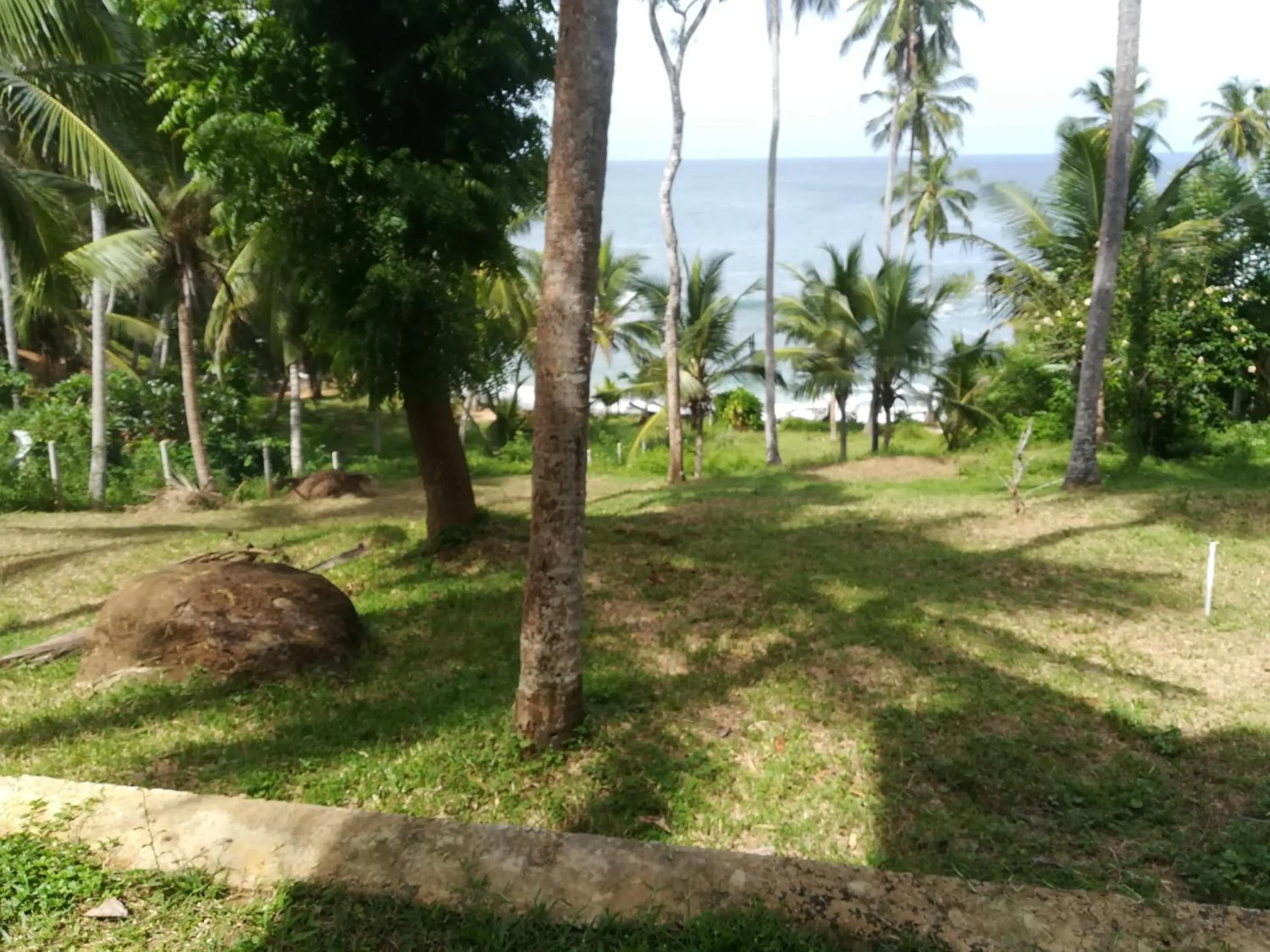Star beach hotel