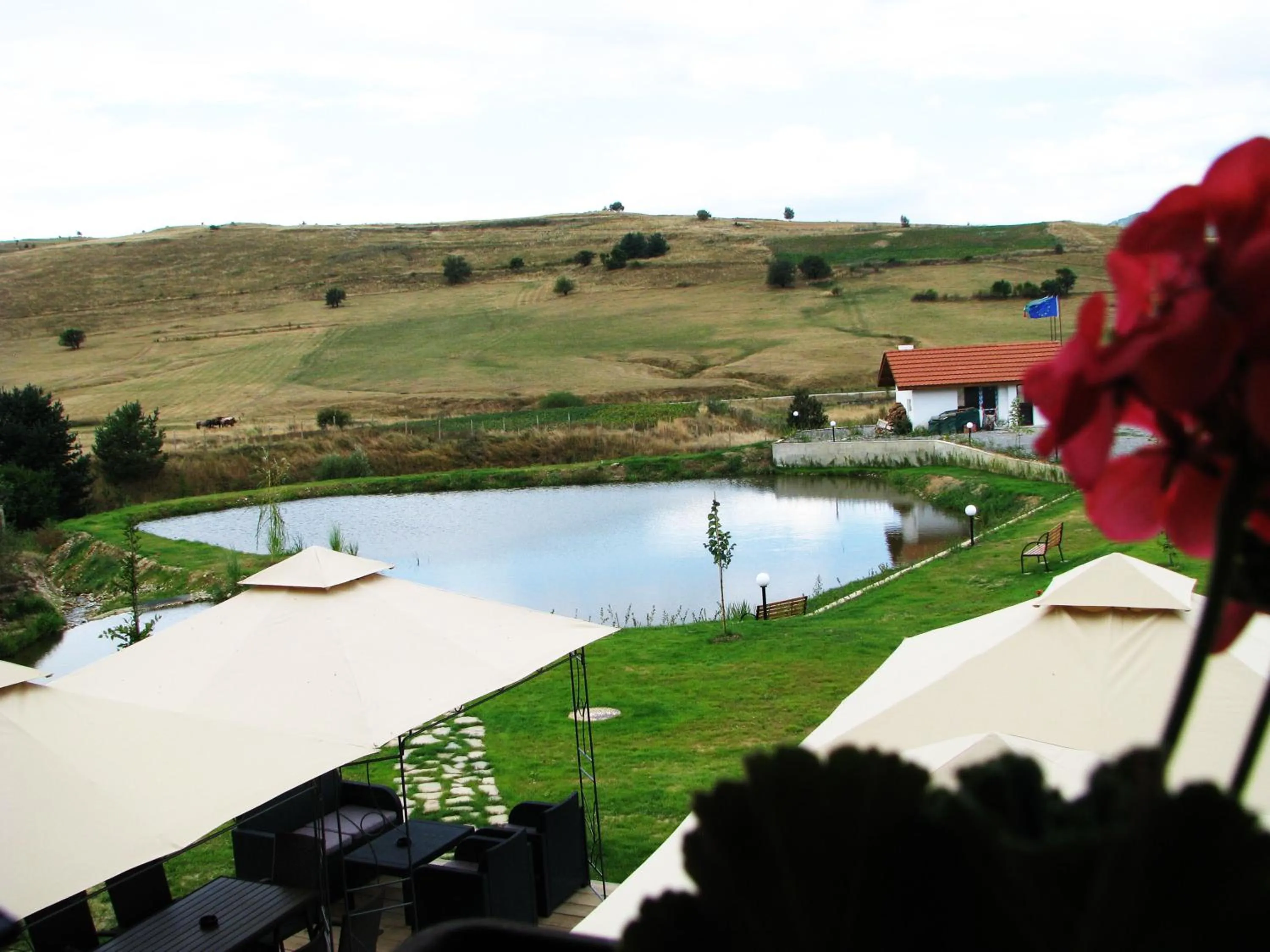 Park Hotel Eagle Stone