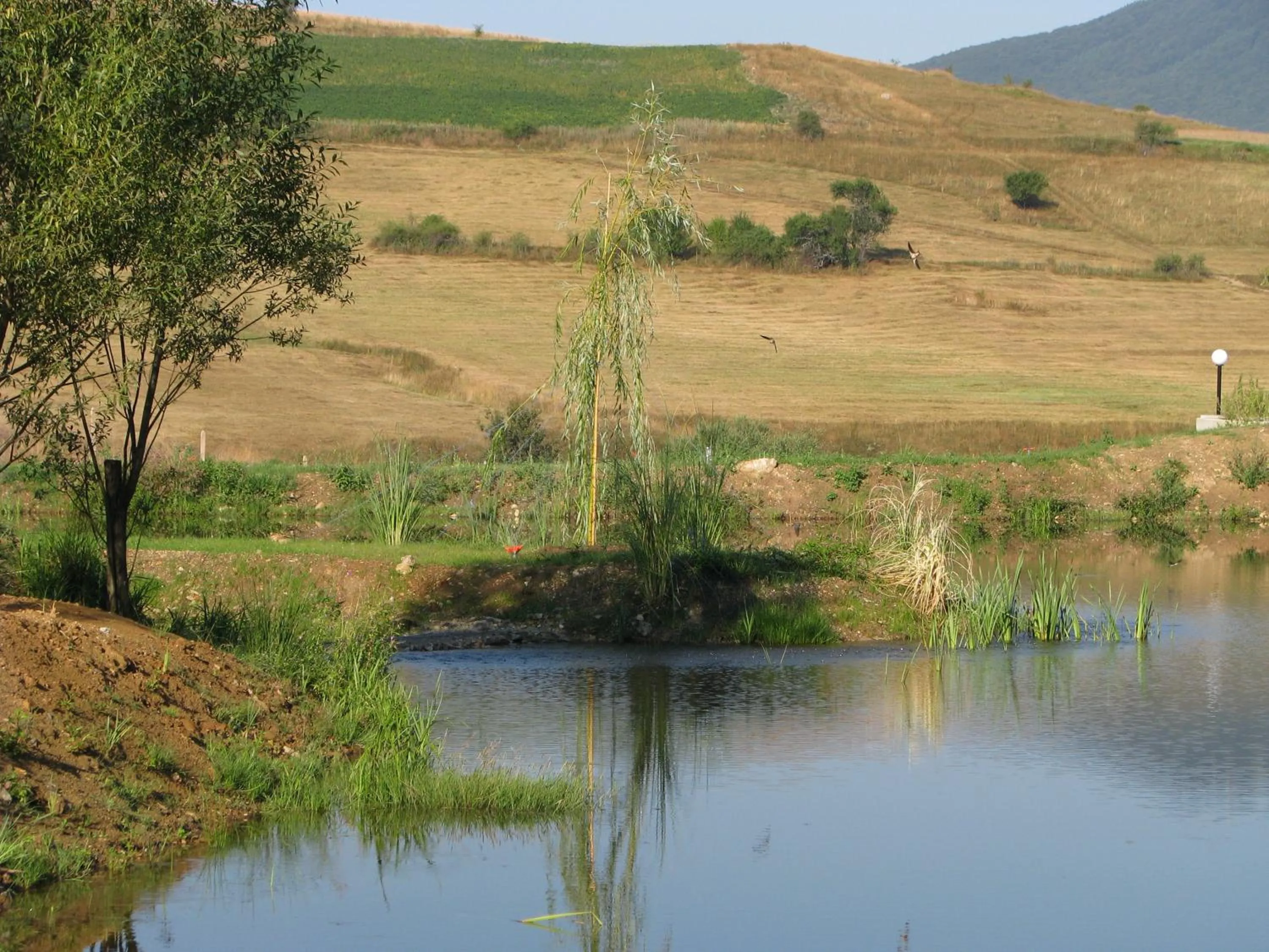 Park Hotel Eagle Stone